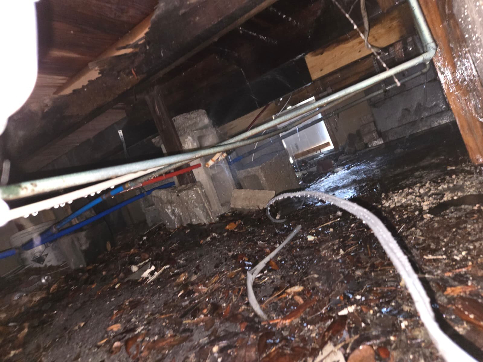 PEX water line repair and reconnection in St. Petersburg, FL 33712
