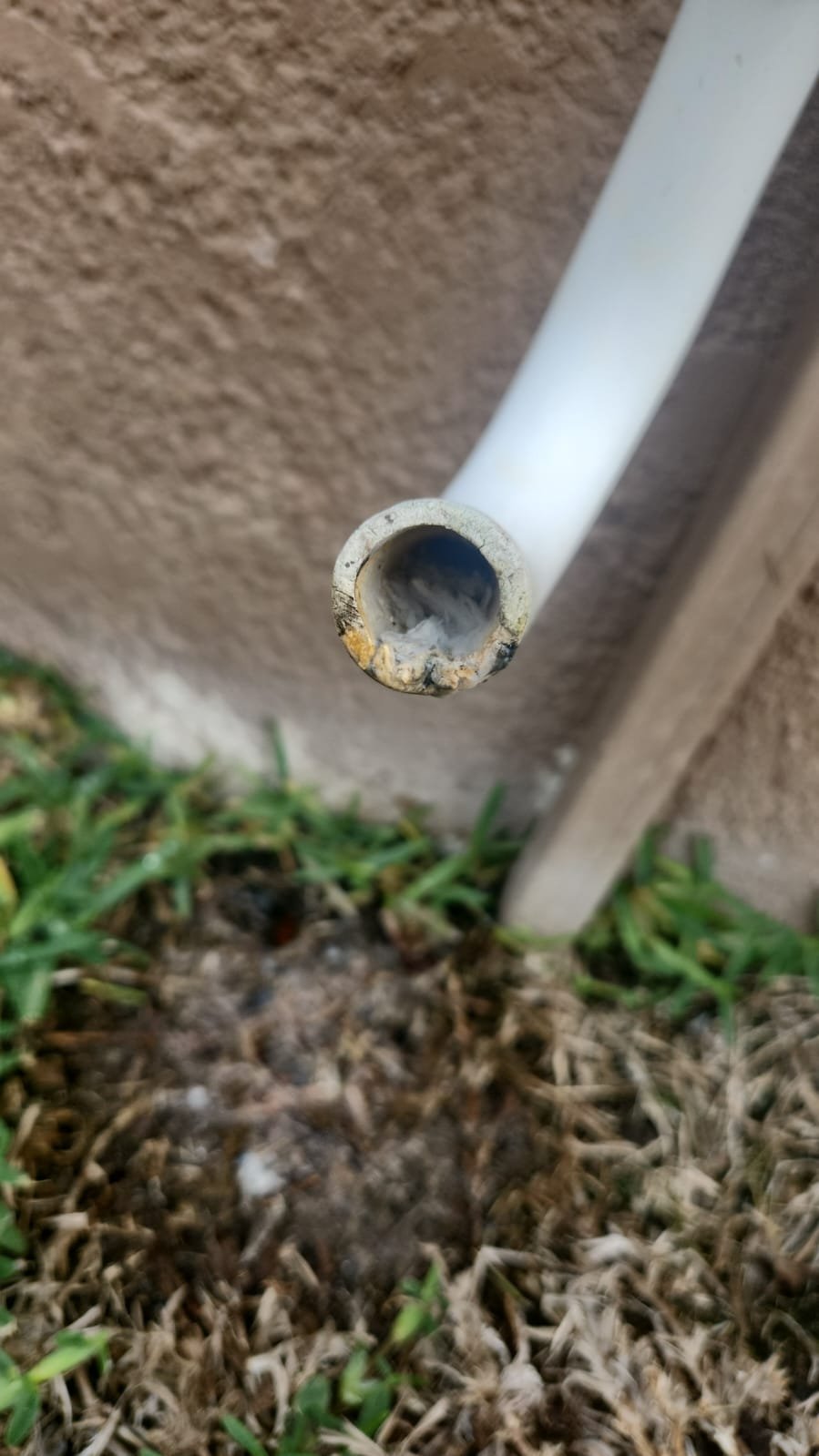 Tampa, FL 33647 AC tune-up as part of Premium Therapy maintenance plan