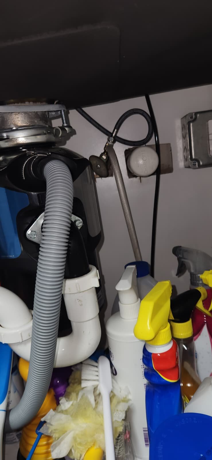 Plumbing inspection and water heater maintenance in Tampa, FL 33603