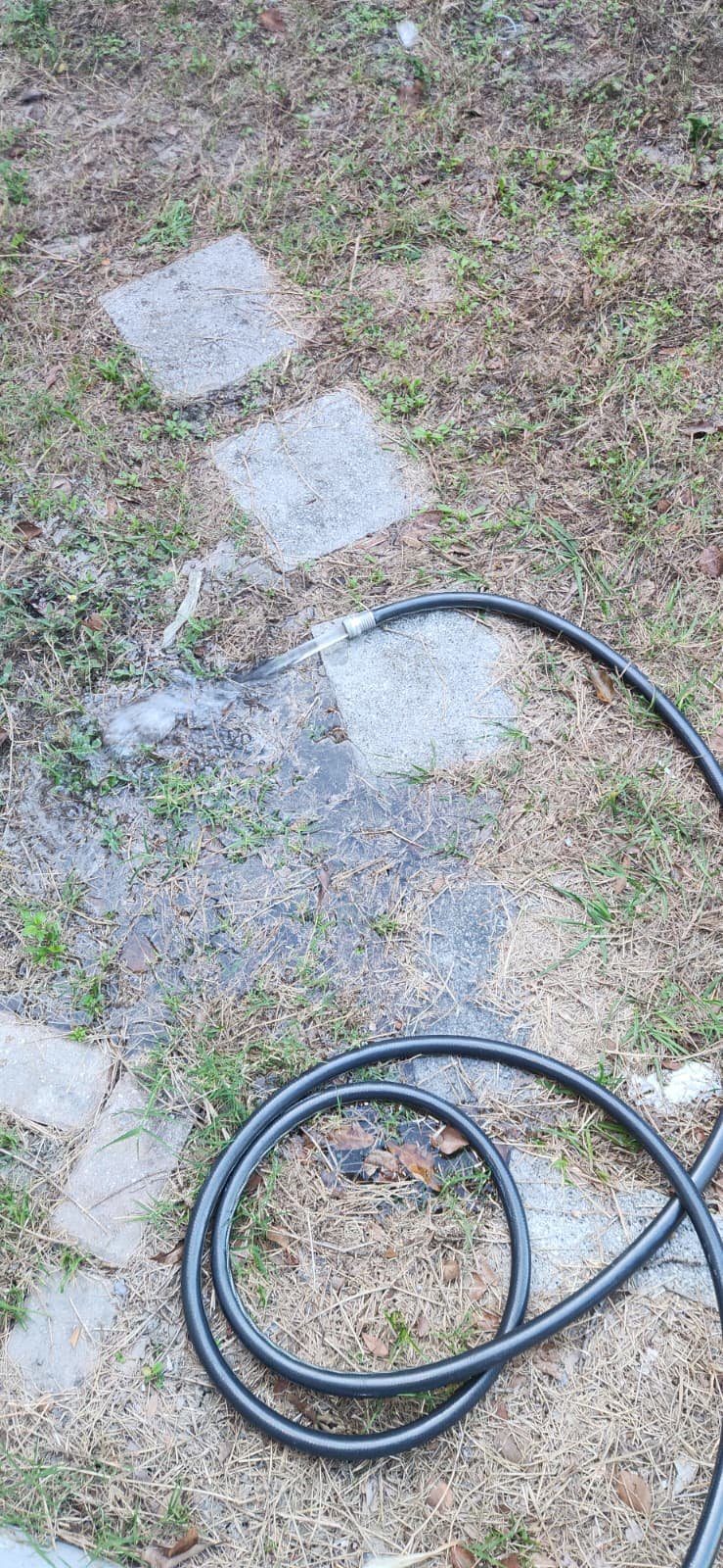 Annual plumbing inspection service in Tampa, FL 33603 bathroom area