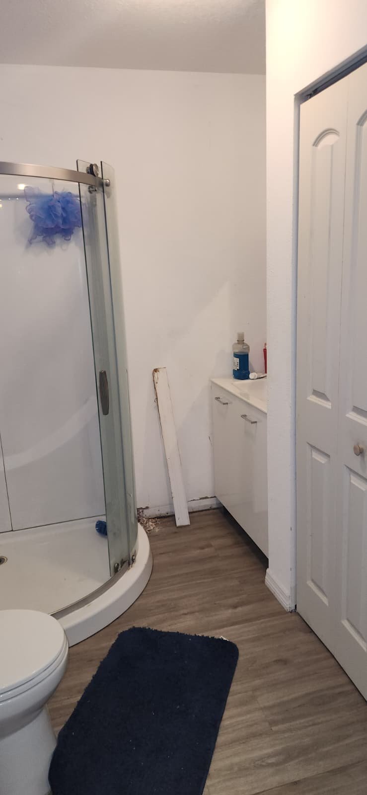 Drywall access opening created to diagnose ceiling problem in Zephyrhills, FL 33542