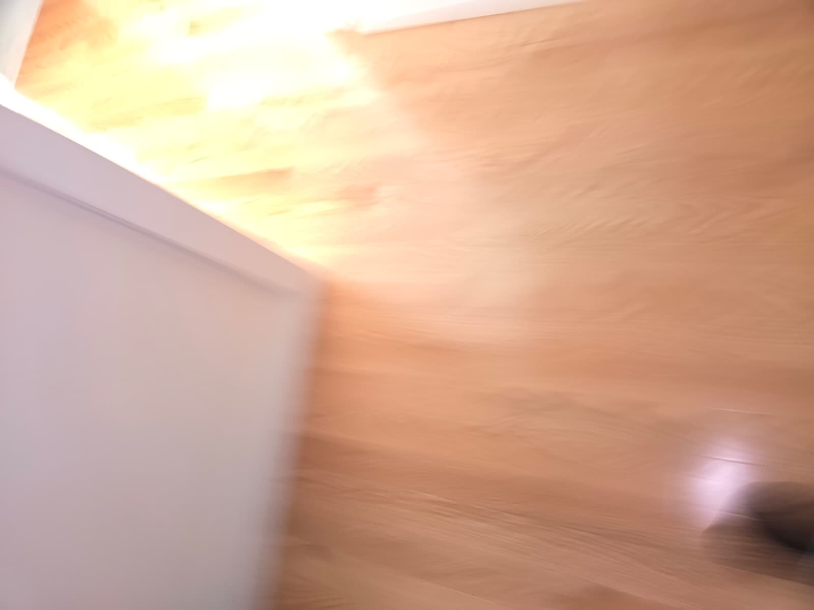 Water heater tank draining and sediment wash in Tampa, FL 33611 home