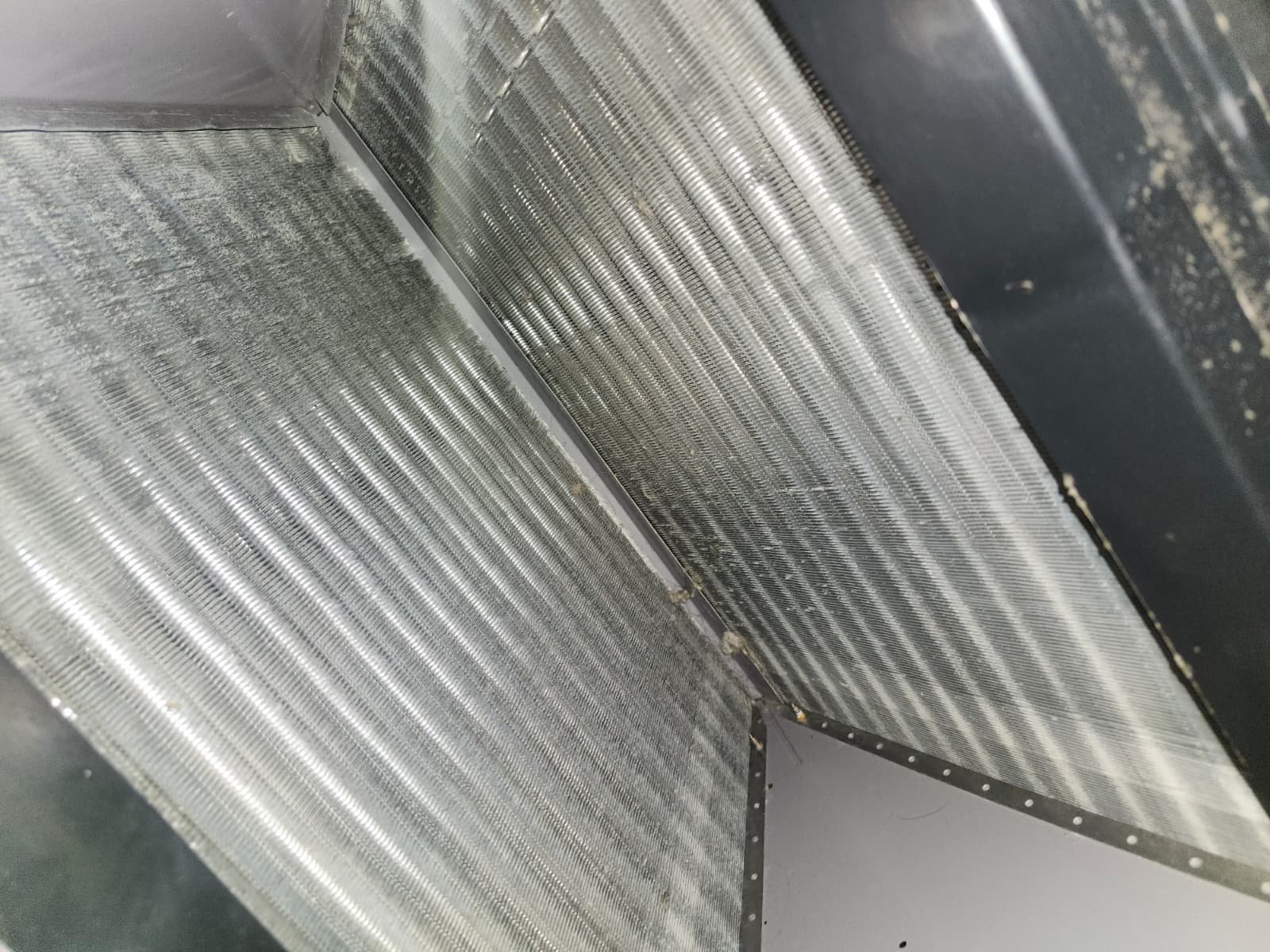 Air conditioning maintenance and cleaning during tune-up in Tampa, FL 33610 home