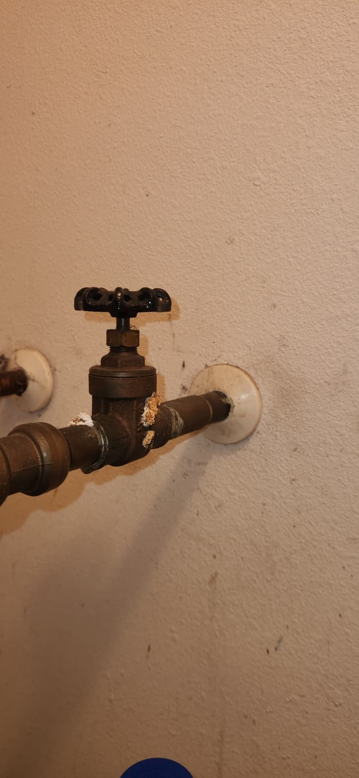 Close view of outdated water heater tank during inspection in Tampa, FL 33604