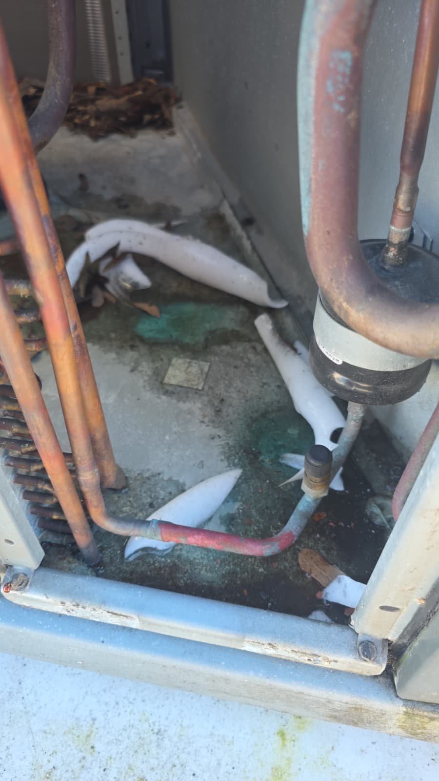 AC system inspection in Tampa, FL 33613