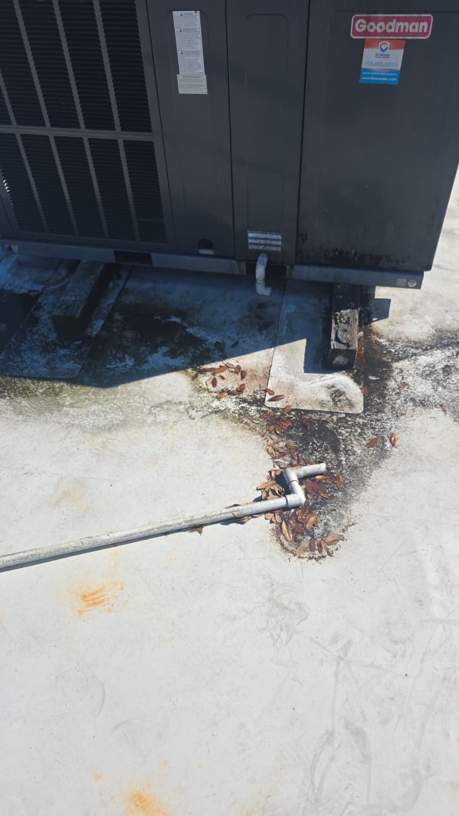 Heating and cooling service in Tampa, FL 33613