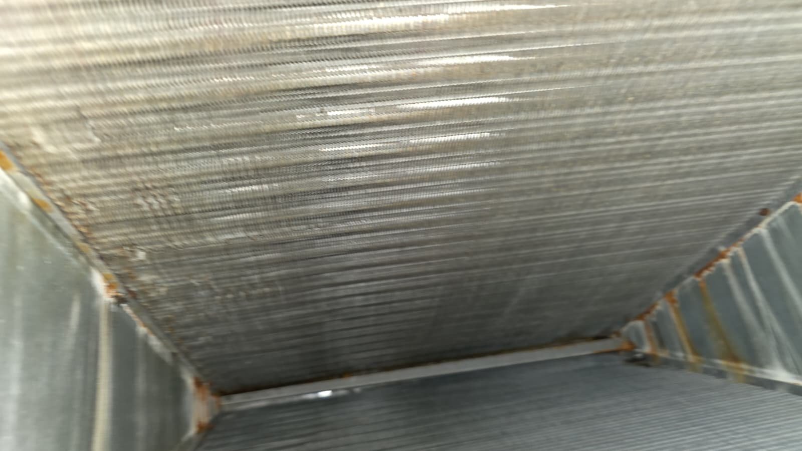 AC blower motor obstruction discovered during tune-up in Valrico, FL 33594