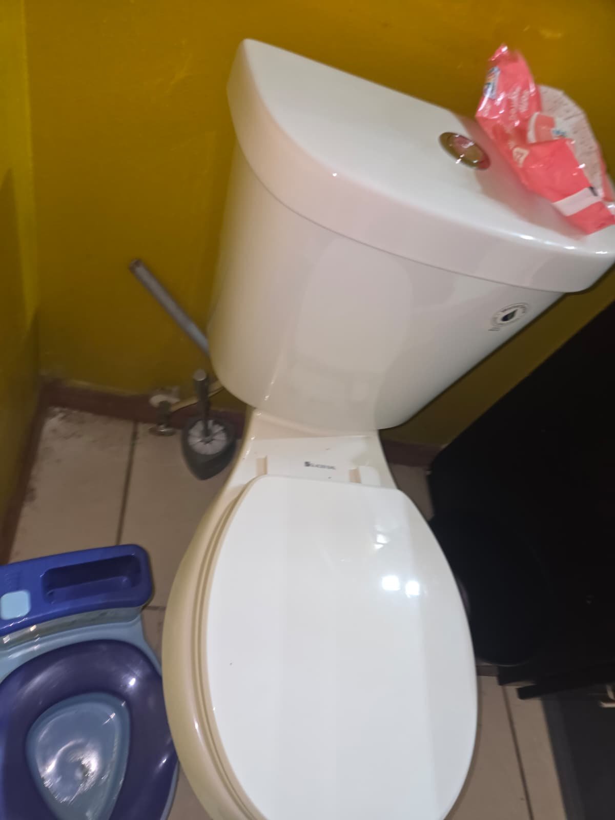 Water heater inspection for Premium Home Therapy Plan in Tampa, FL 33619