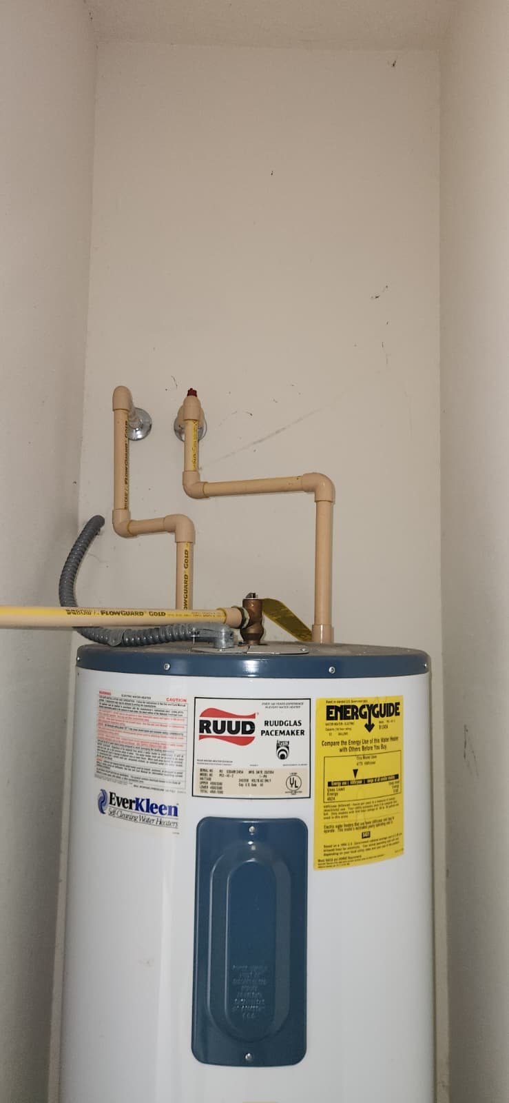 Water heater inspection during plumbing evaluation in Tampa, FL 33647