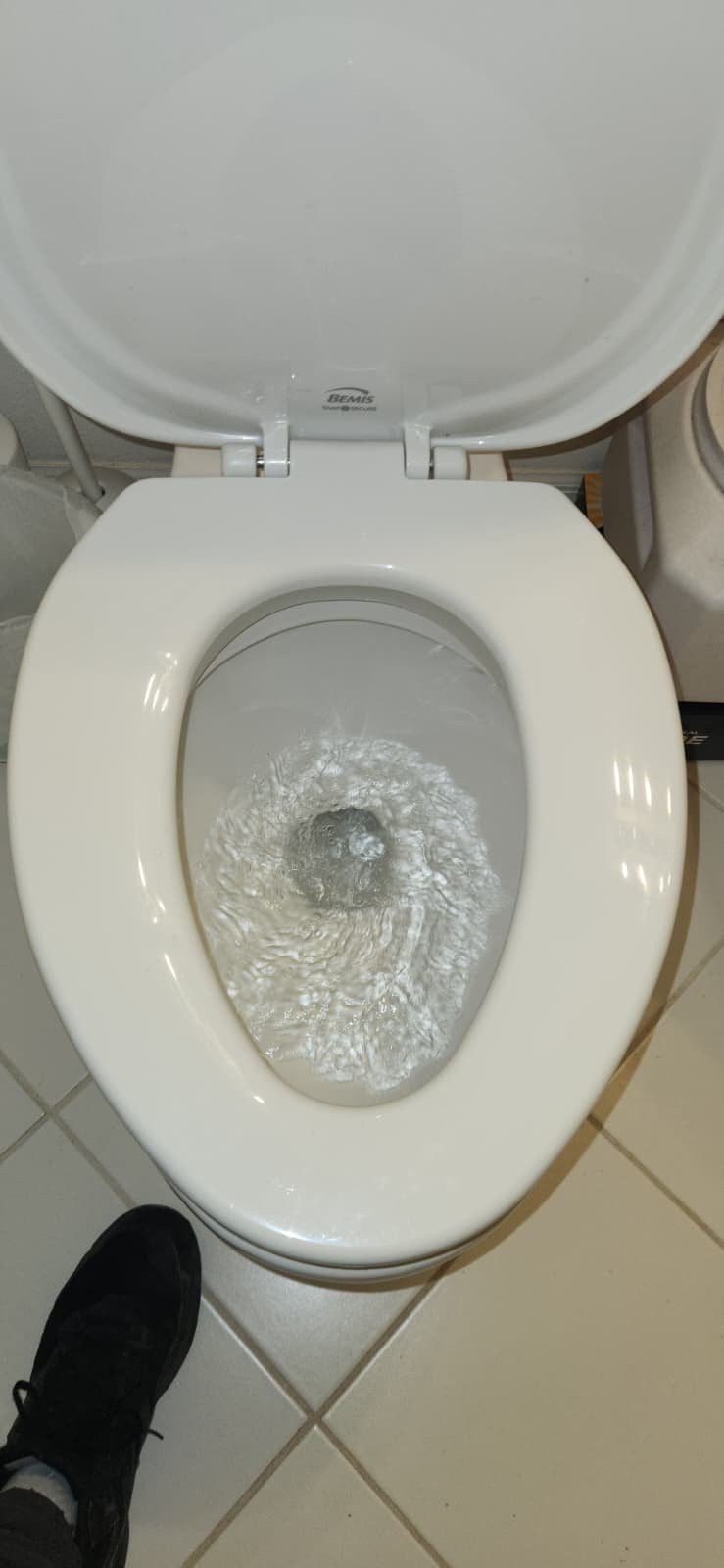 Plumbing inspection of existing water heater tank in Tampa, FL 33647