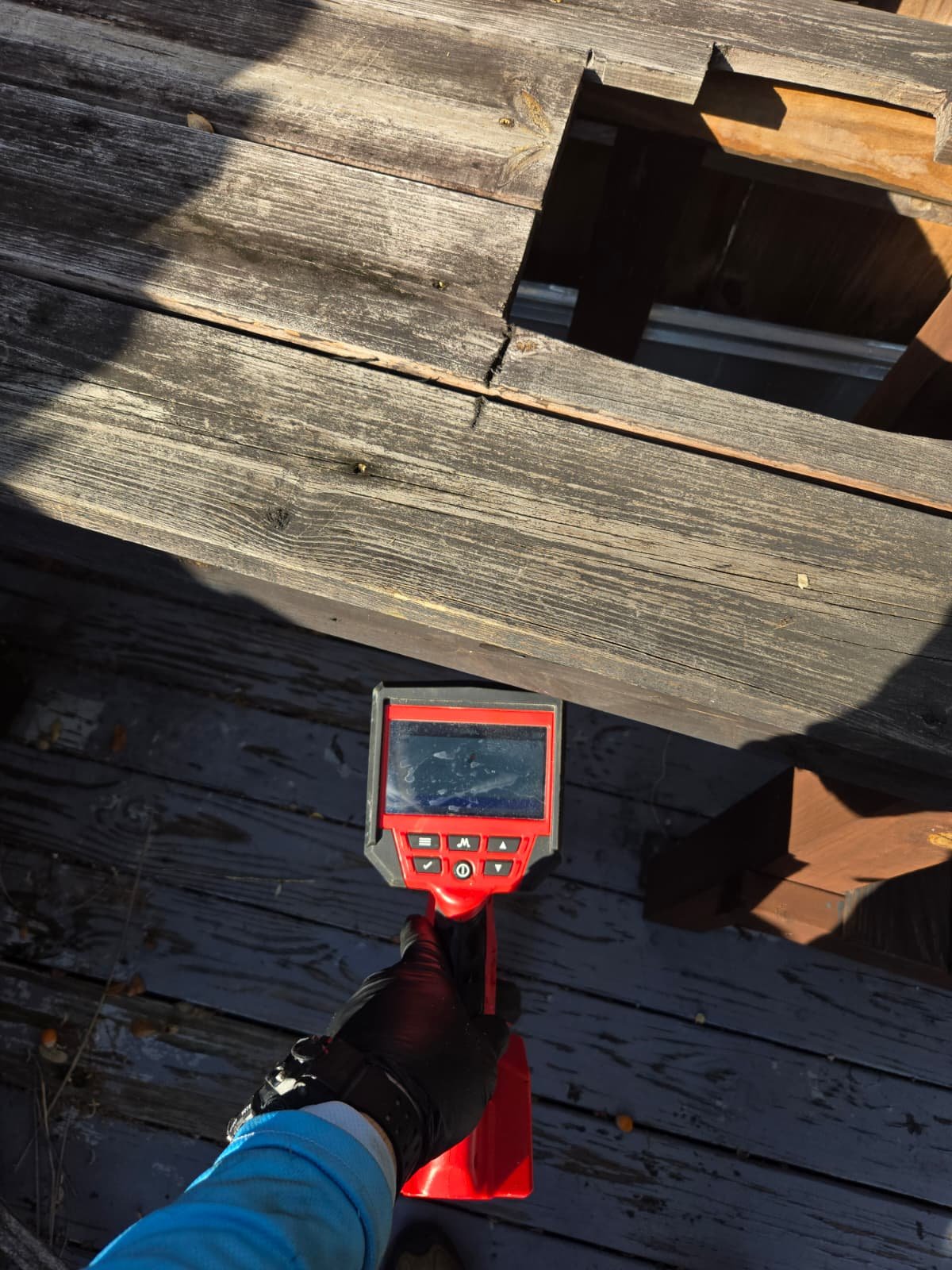 Sewer line replacement Tampa, FL 33603