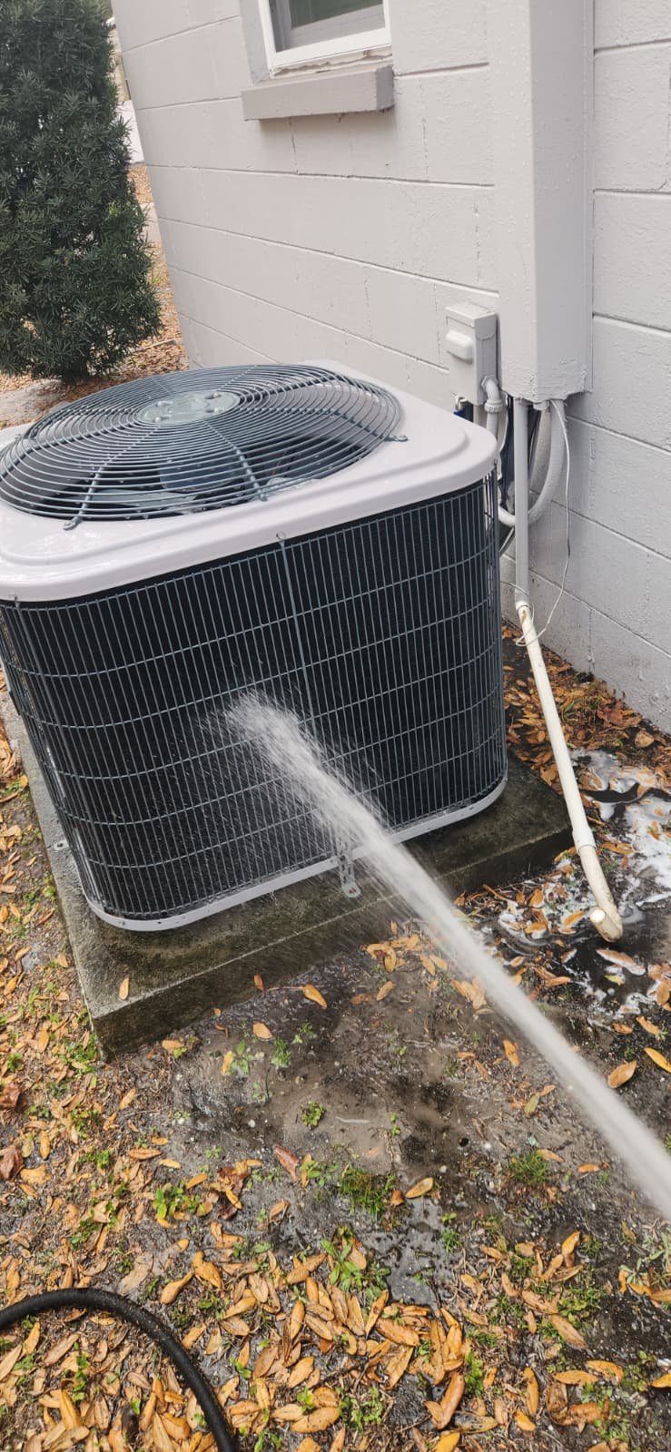 AC maintenance visit in St. Petersburg, FL 33703