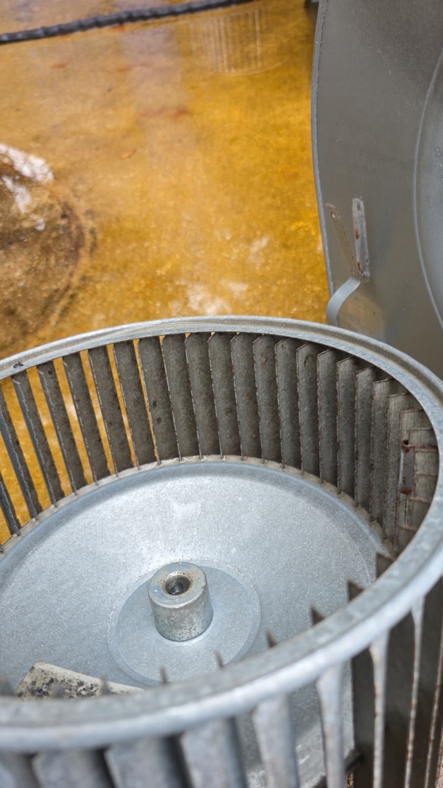 HVAC maintenance and blower cleaning Lutz, FL 33558