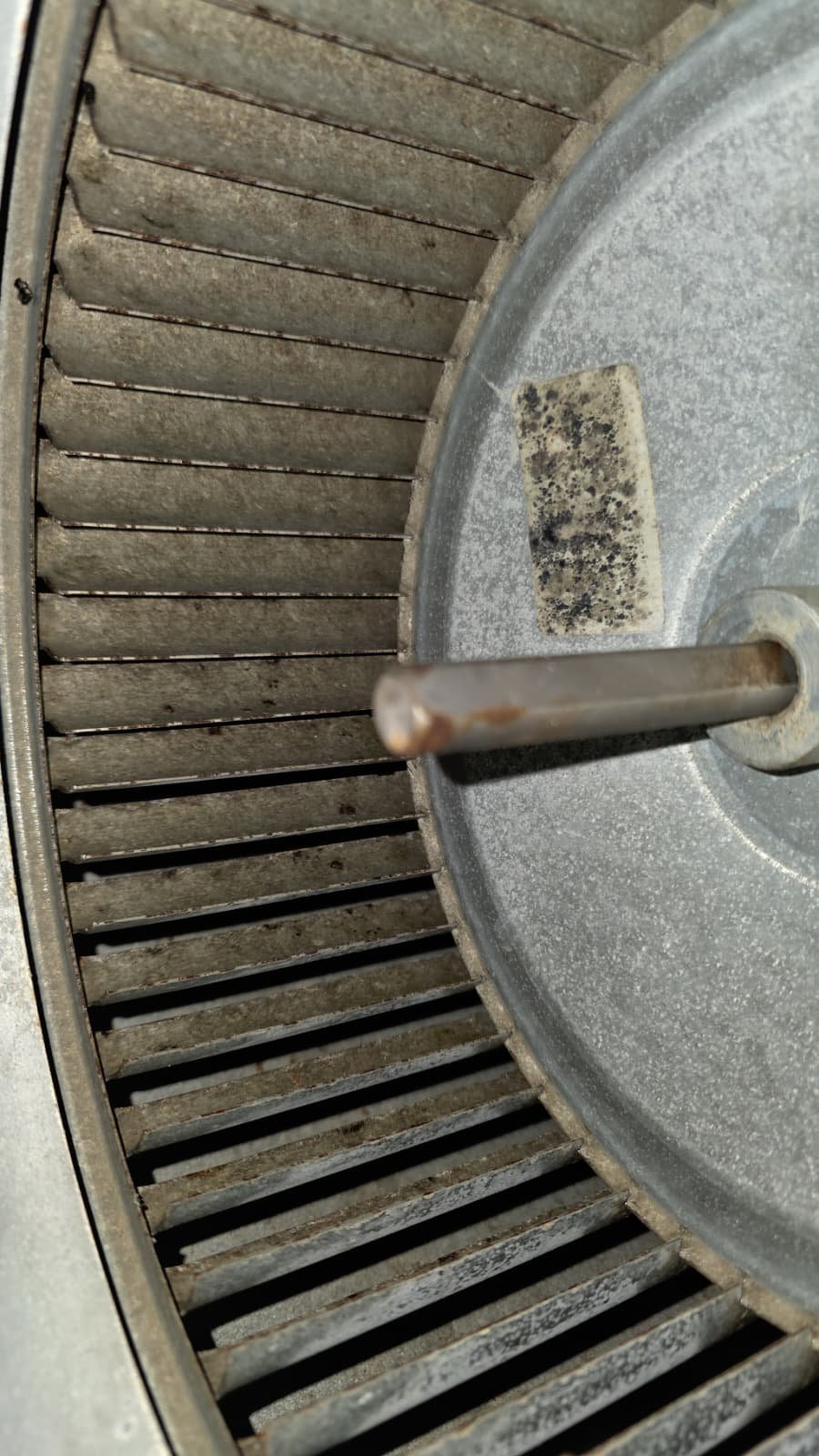 HVAC blower cleaning and UV light recommendation Lutz, FL 33558