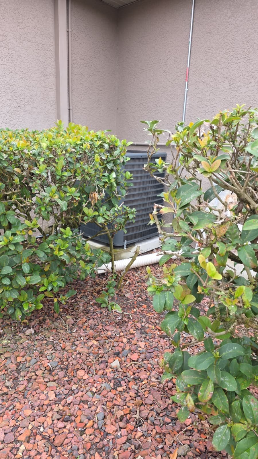 HVAC tune-up on newer air handler in Tarpon Springs, FL 34688