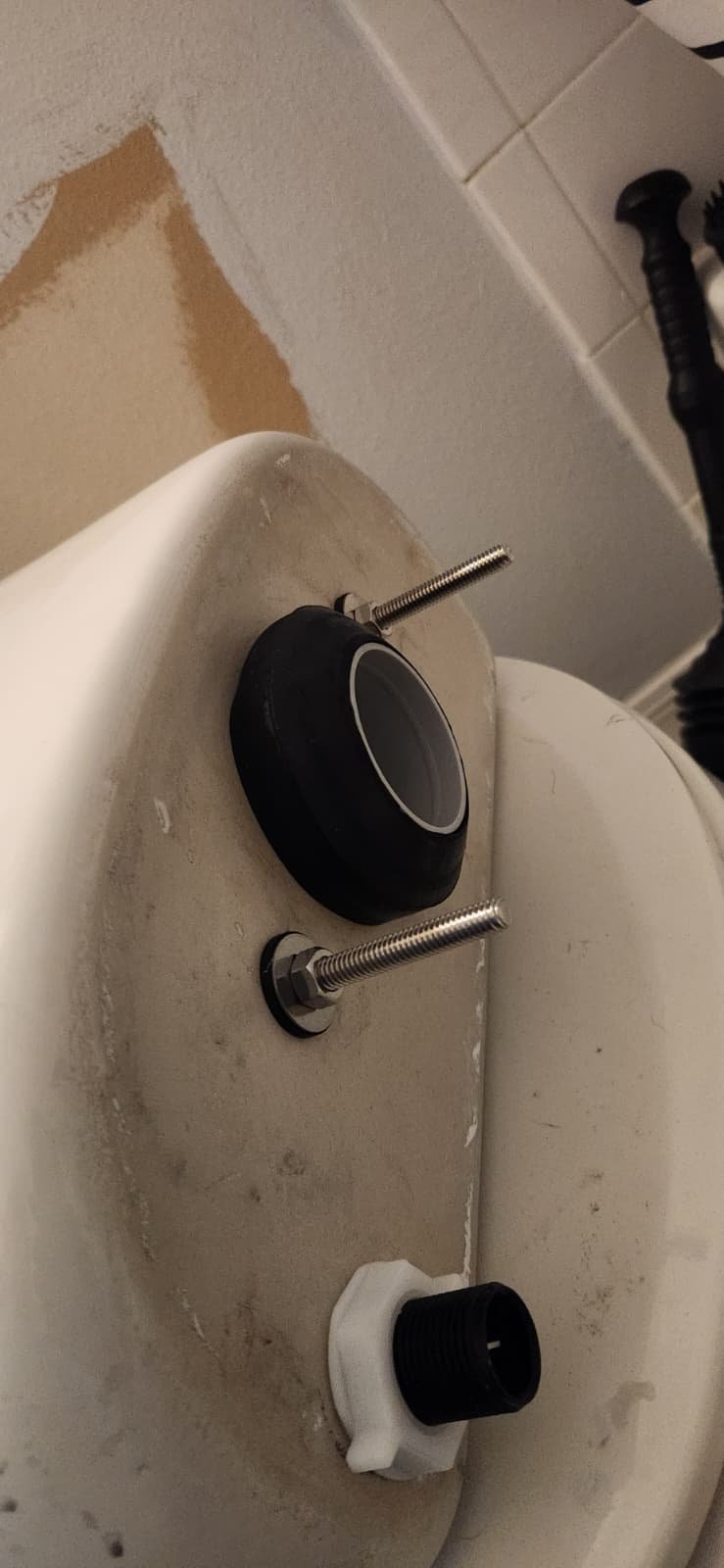 toilet repair service in Tampa, FL 33647