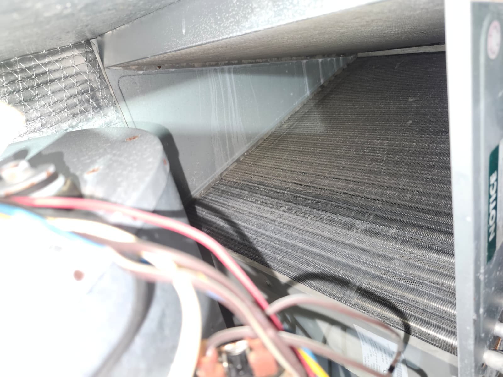 Technician performing detailed AC tune-up in St. Petersburg, FL 33705 residence