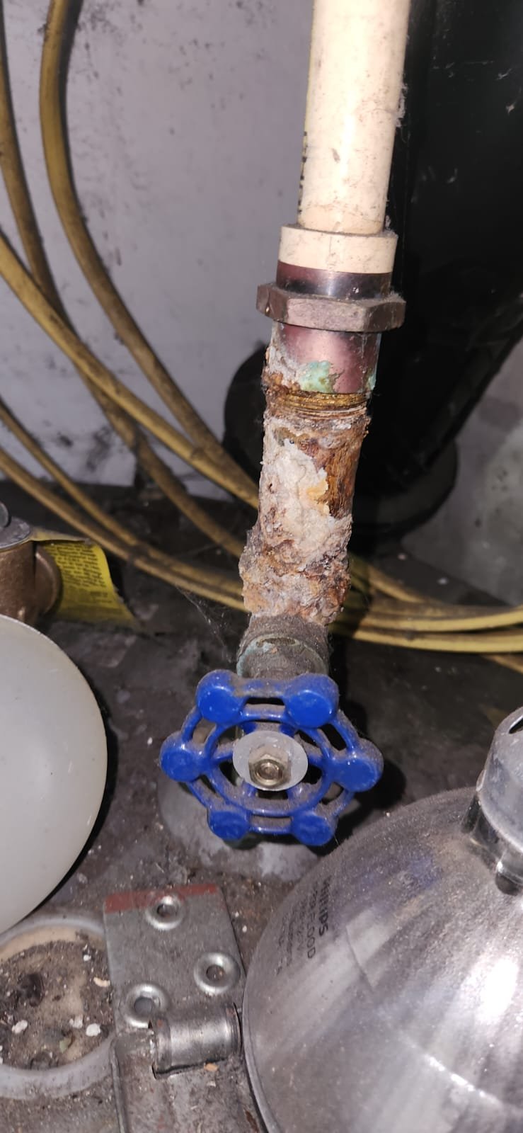 New 40-gallon Rheem electric water heater install in Largo, FL 33770 utility area