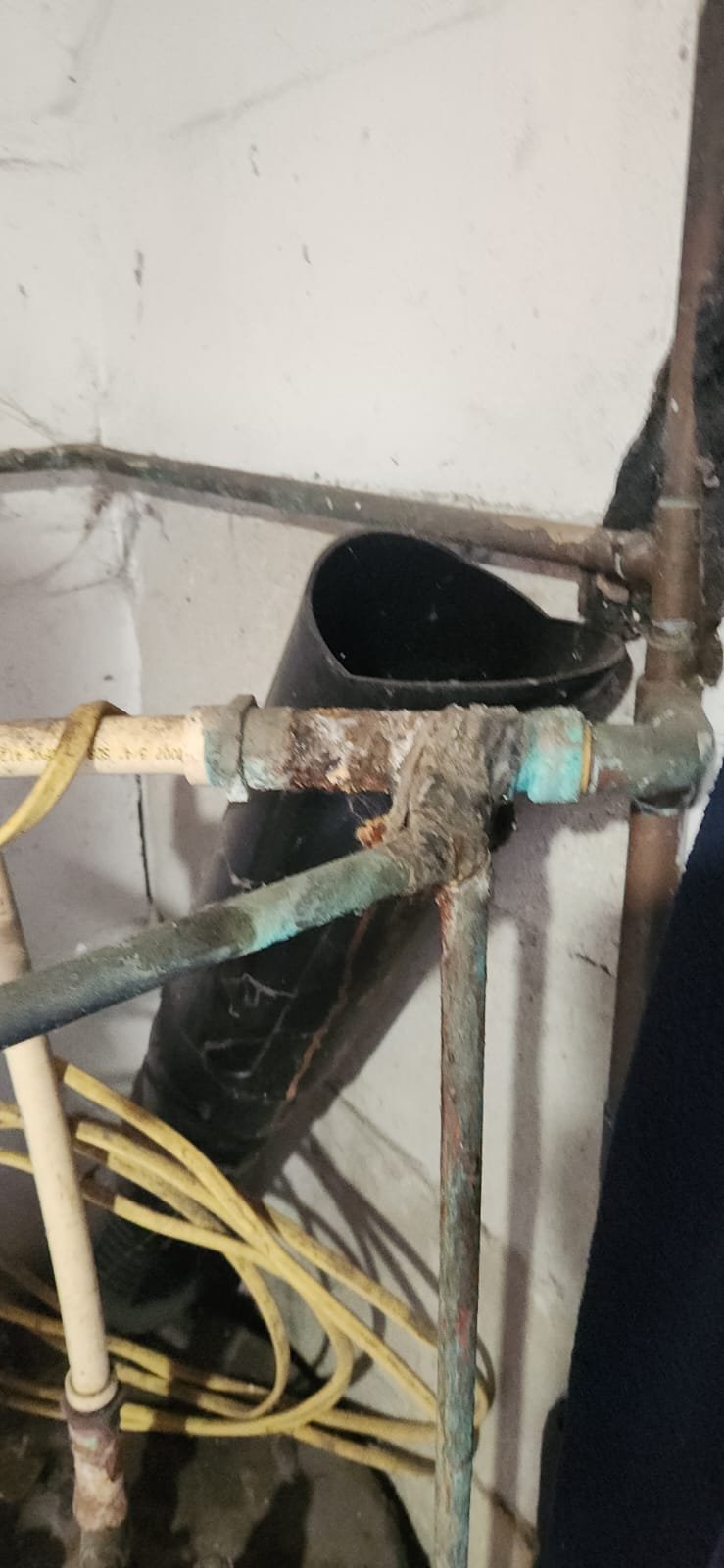 Insulated hot water lines on new Rheem heater installation in Largo, FL 33770