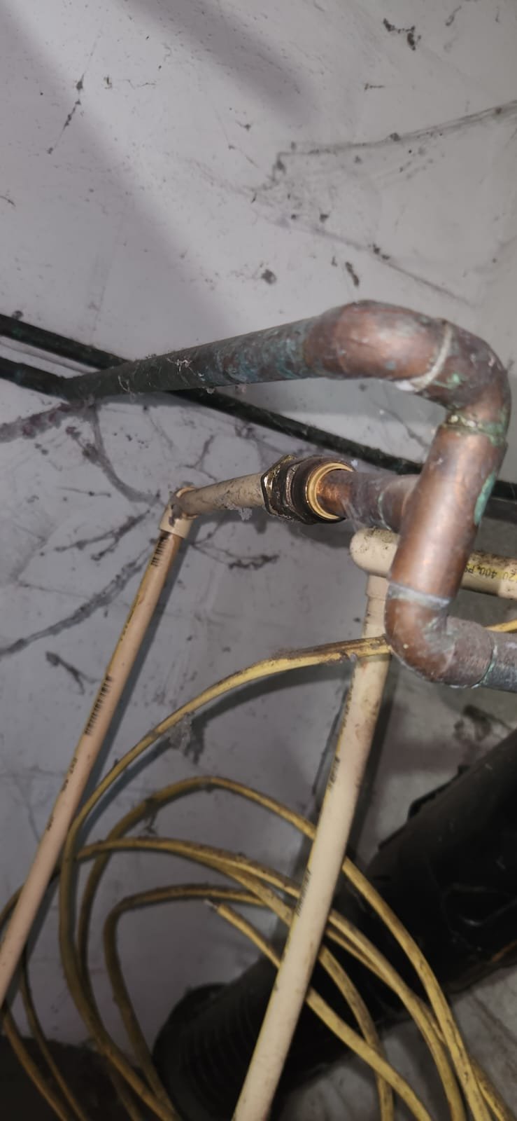 Drain pan and discharge line setup for Rheem water heater in Largo, FL 33770