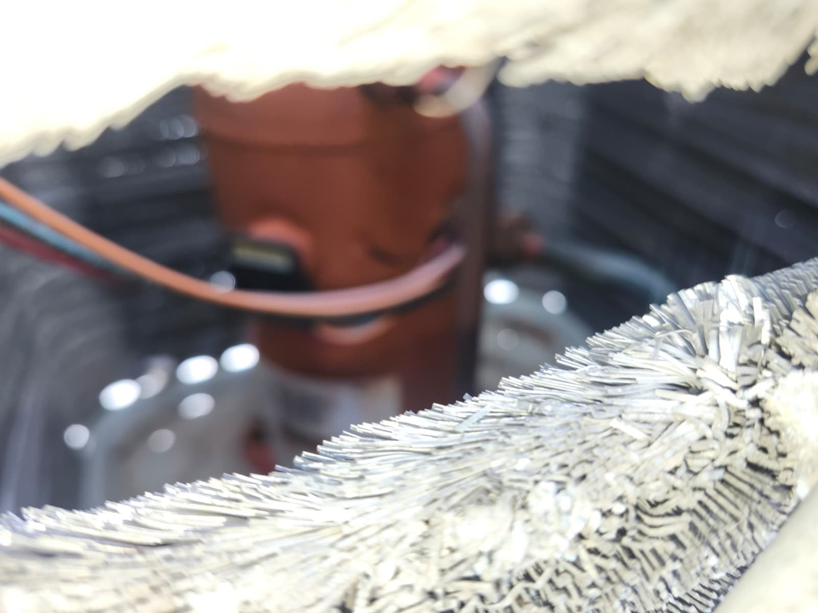 Organic growth and rust found during HVAC maintenance in Tampa, FL 33634