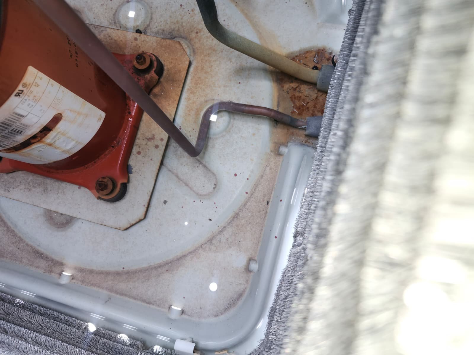 Quarterly commercial HVAC maintenance on jet line system in Tampa, FL 33634