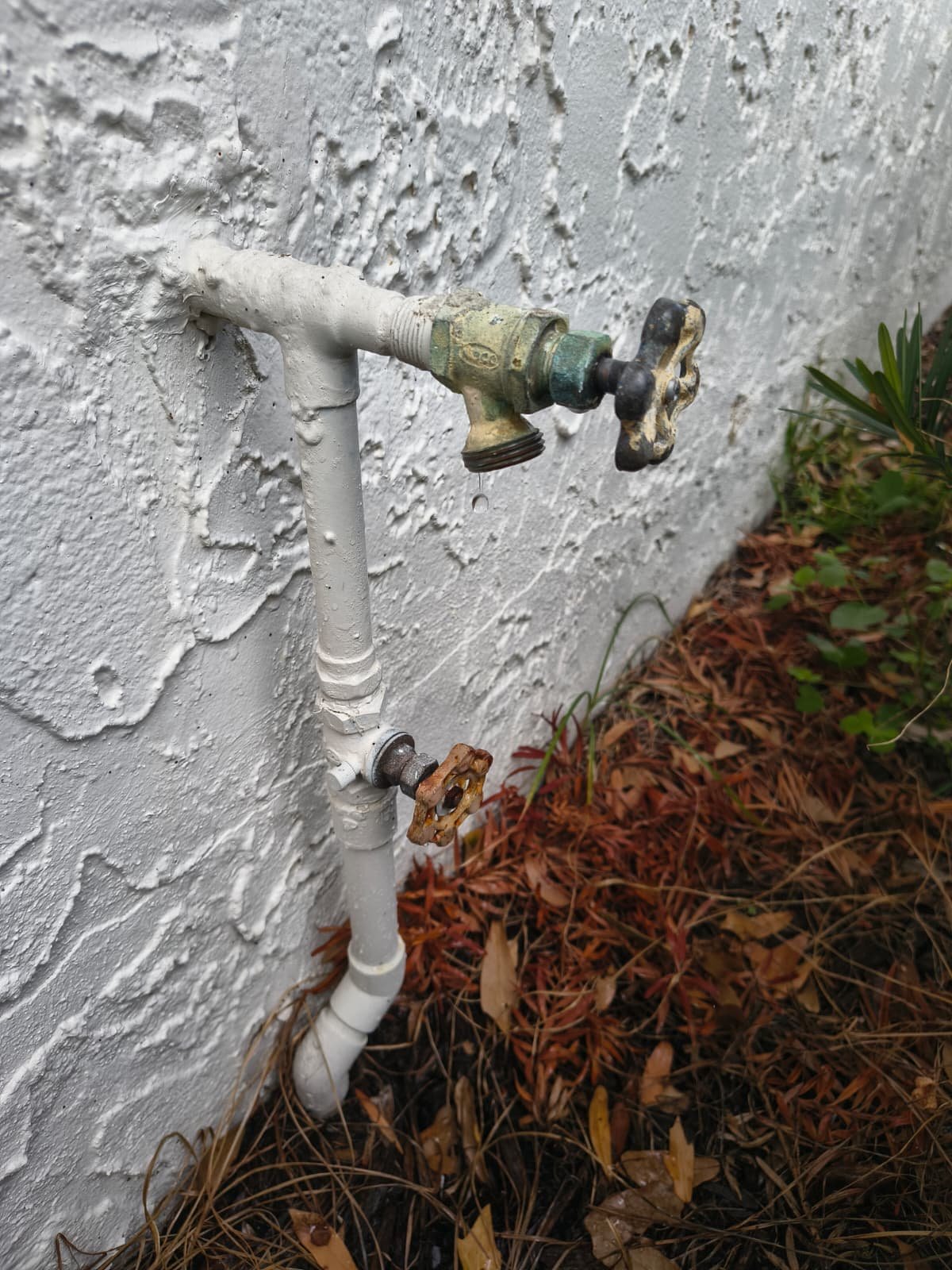 Shutoff valve replacement in Seffner, FL 33584