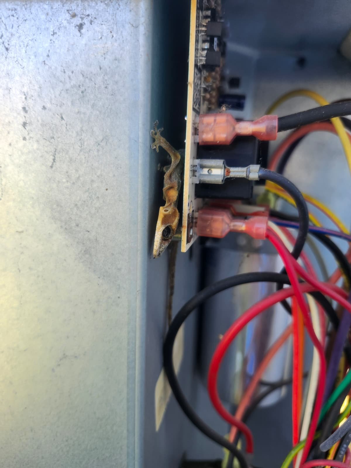 AC tune-up service in Riverview, FL 33579