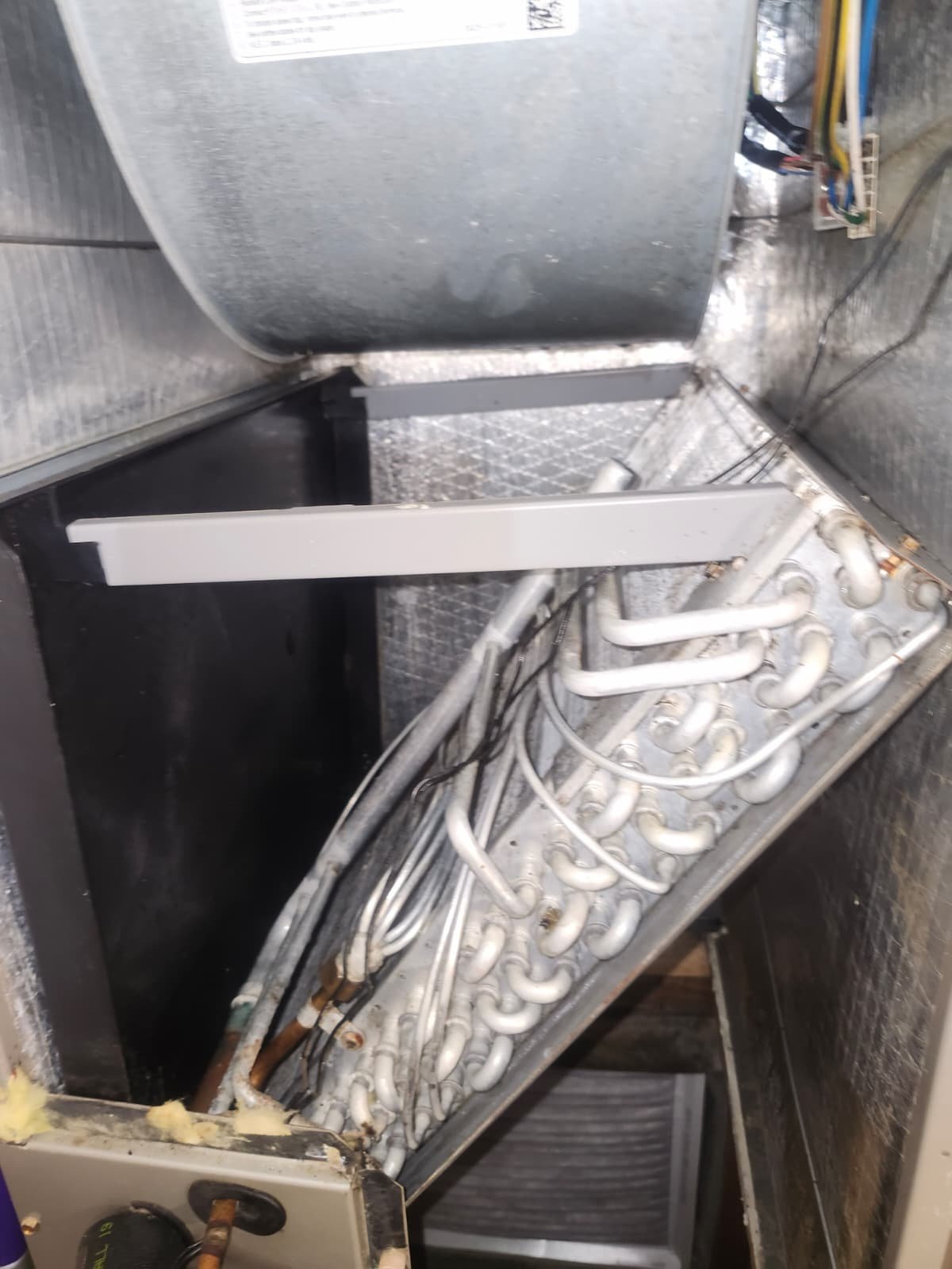 Close-up of UV air treatment light mounted in HVAC system in Port Richey, FL 34668