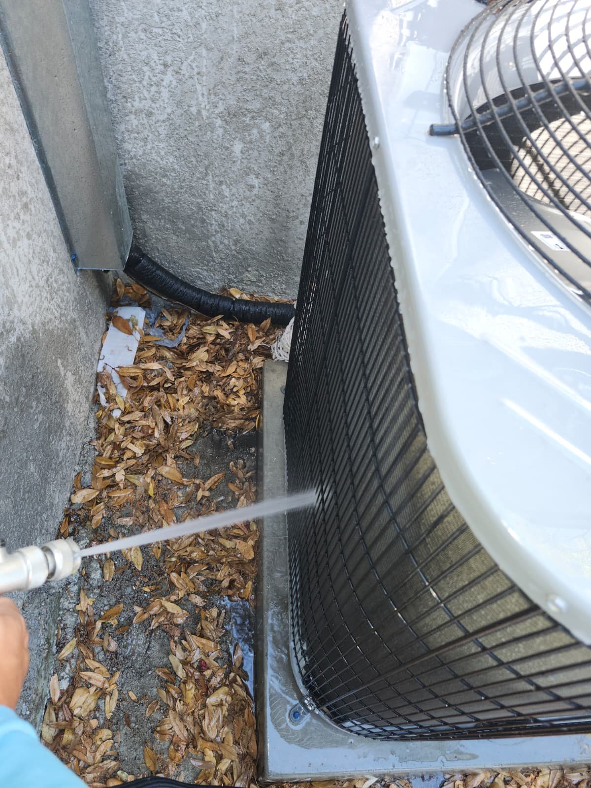 Home dishwasher leak detection service Tampa, FL 33619