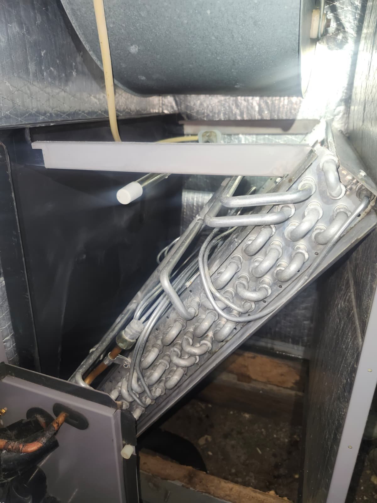 Tampa, FL 33618 air handler UV light not working found during maintenance