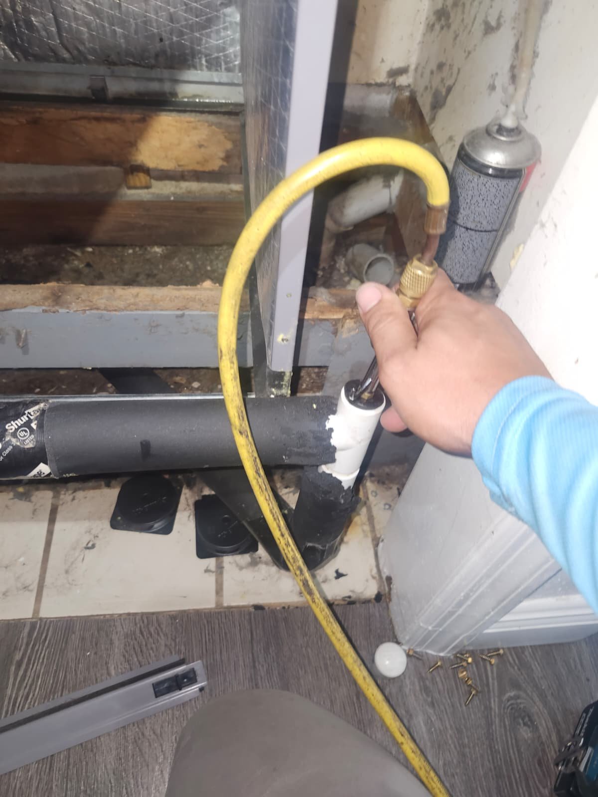 AC tune-up and maintenance service in Tampa, FL 33618 by The AC Therapist