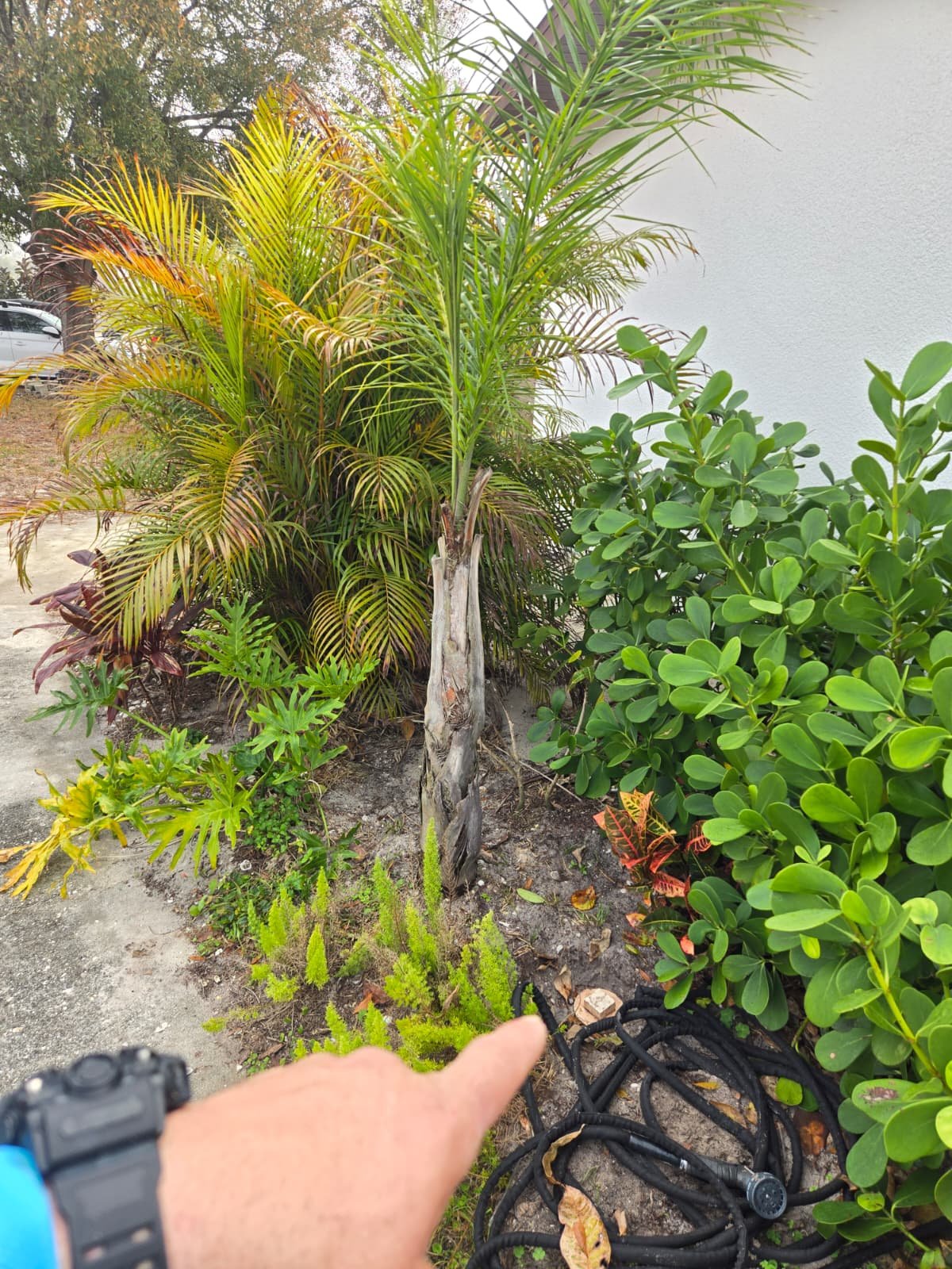 Sewage grinder pump basin and discharge plumbing rough-in in Tampa, FL 33611