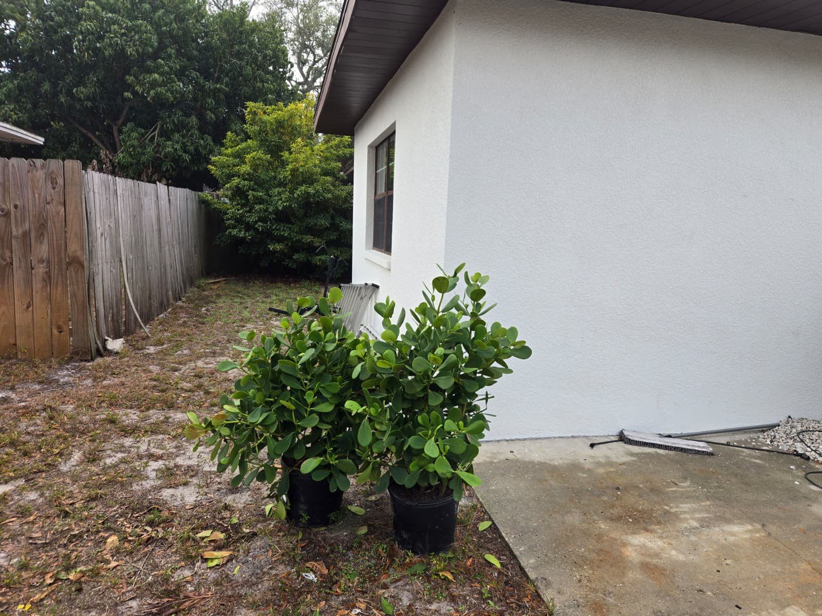 Concrete slab cutting and drain trenching for bathroom plumbing in Tampa, FL 33611