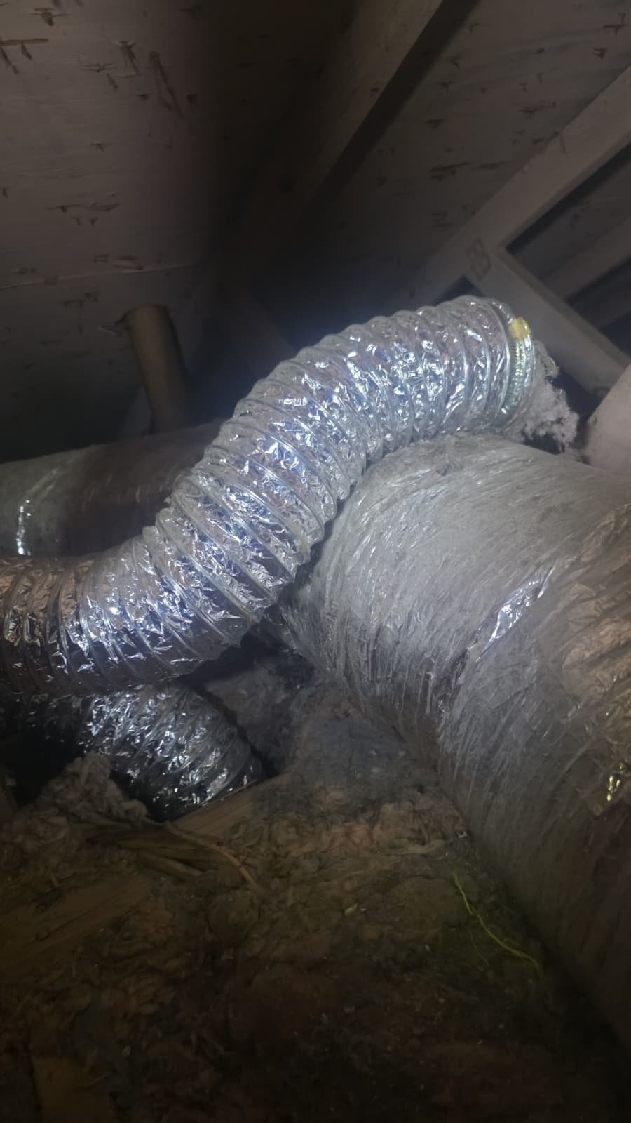 Connected dryer vent after duct sanitizing in Clearwater, FL 33759