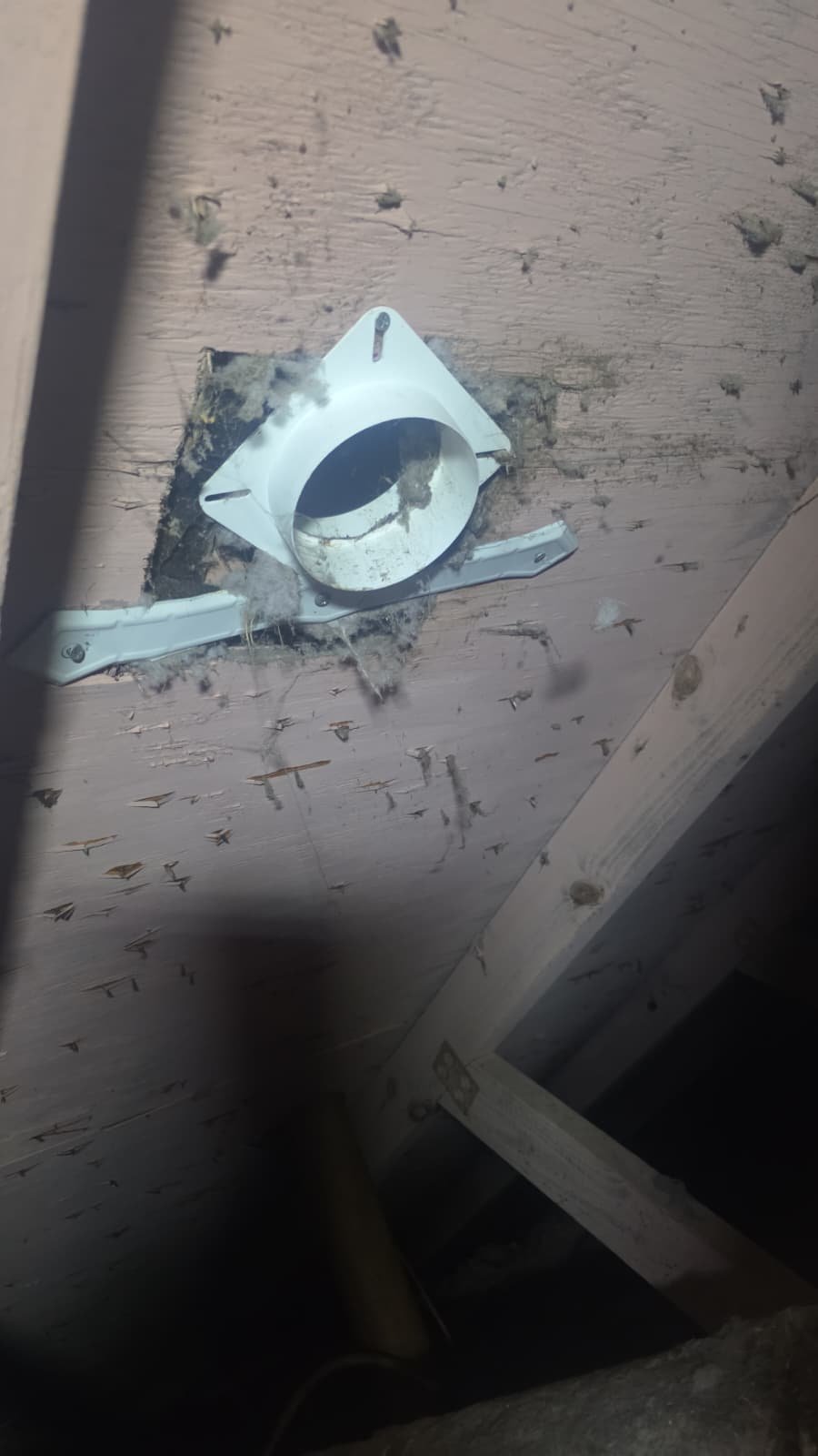 Detail of dryer duct sanitizing service in Clearwater, FL 33759