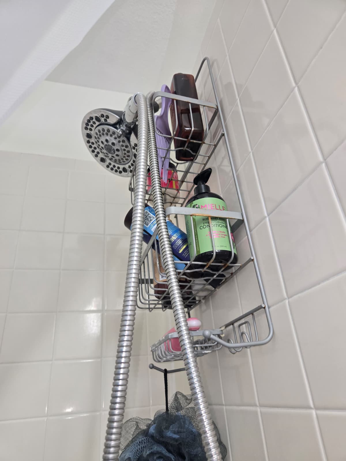 Plumbing service inspection in Brandon, FL 33511