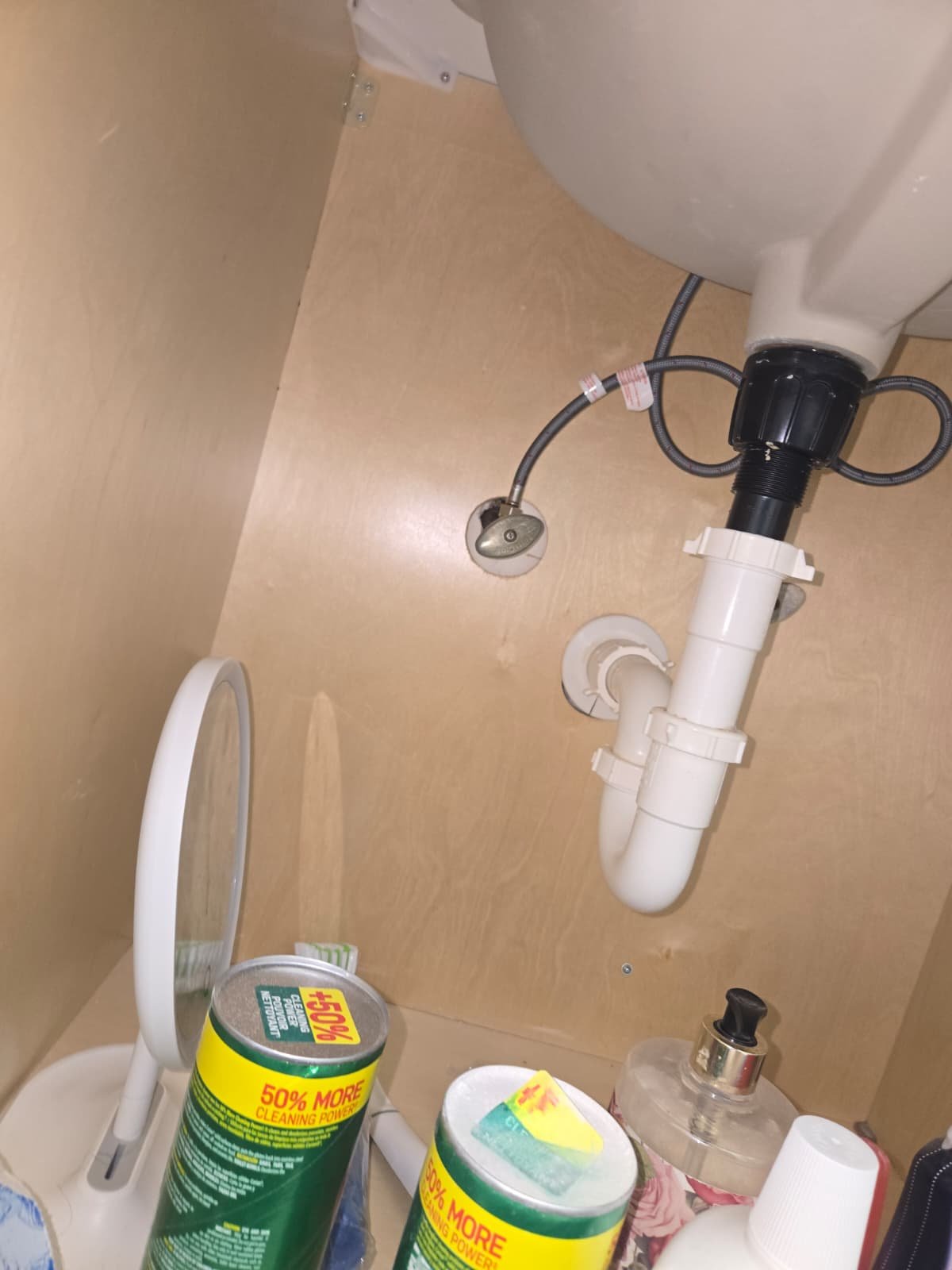 Free plumbing diagnosis in Brandon, FL 33511