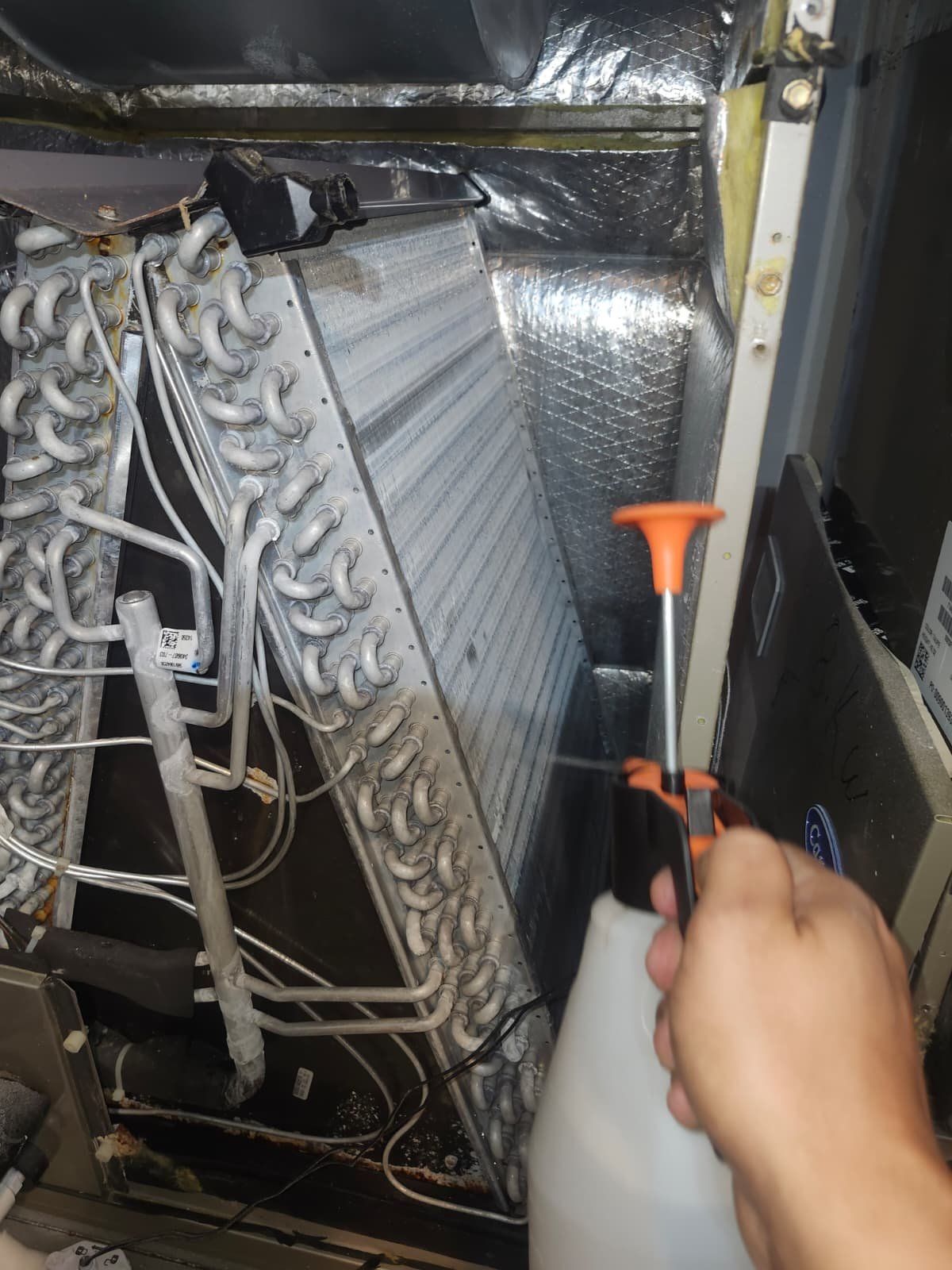 therapy at home Apollo Beach, FL 33572