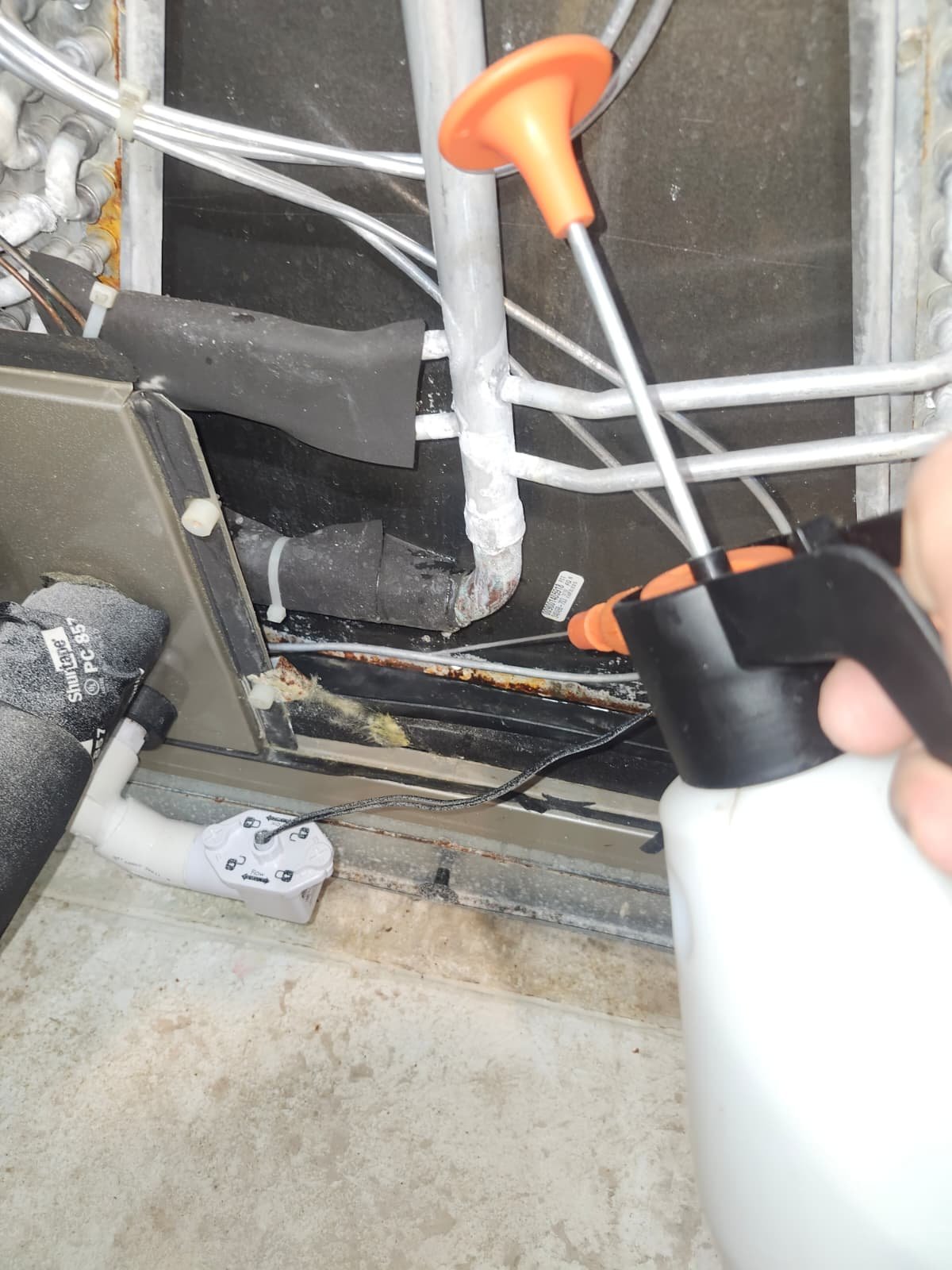 home therapy visit Apollo Beach, FL 33572