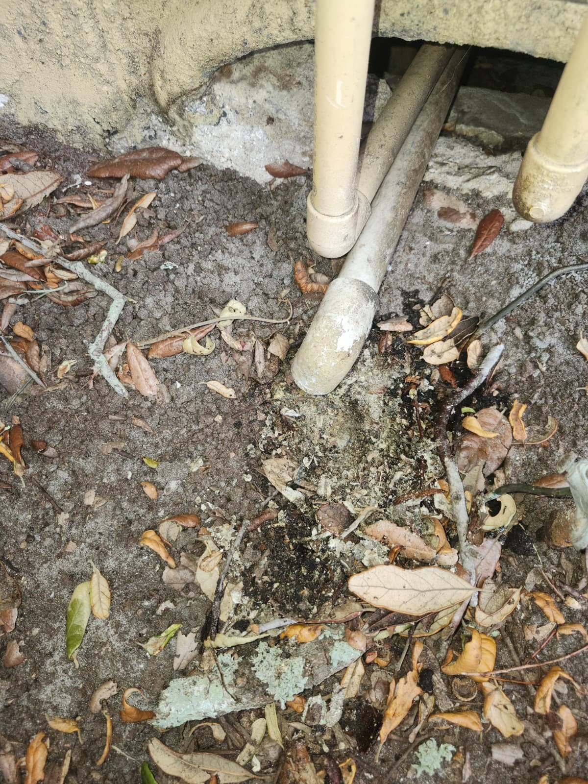 AC tune-up and cleaning service in St. Petersburg, FL 33711