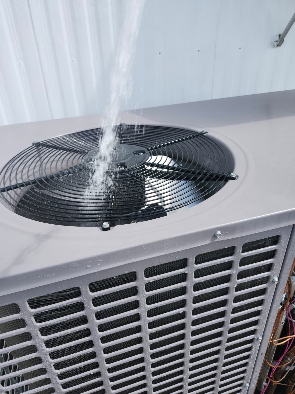 Premium AC maintenance visit in Palm Harbor, FL 34684