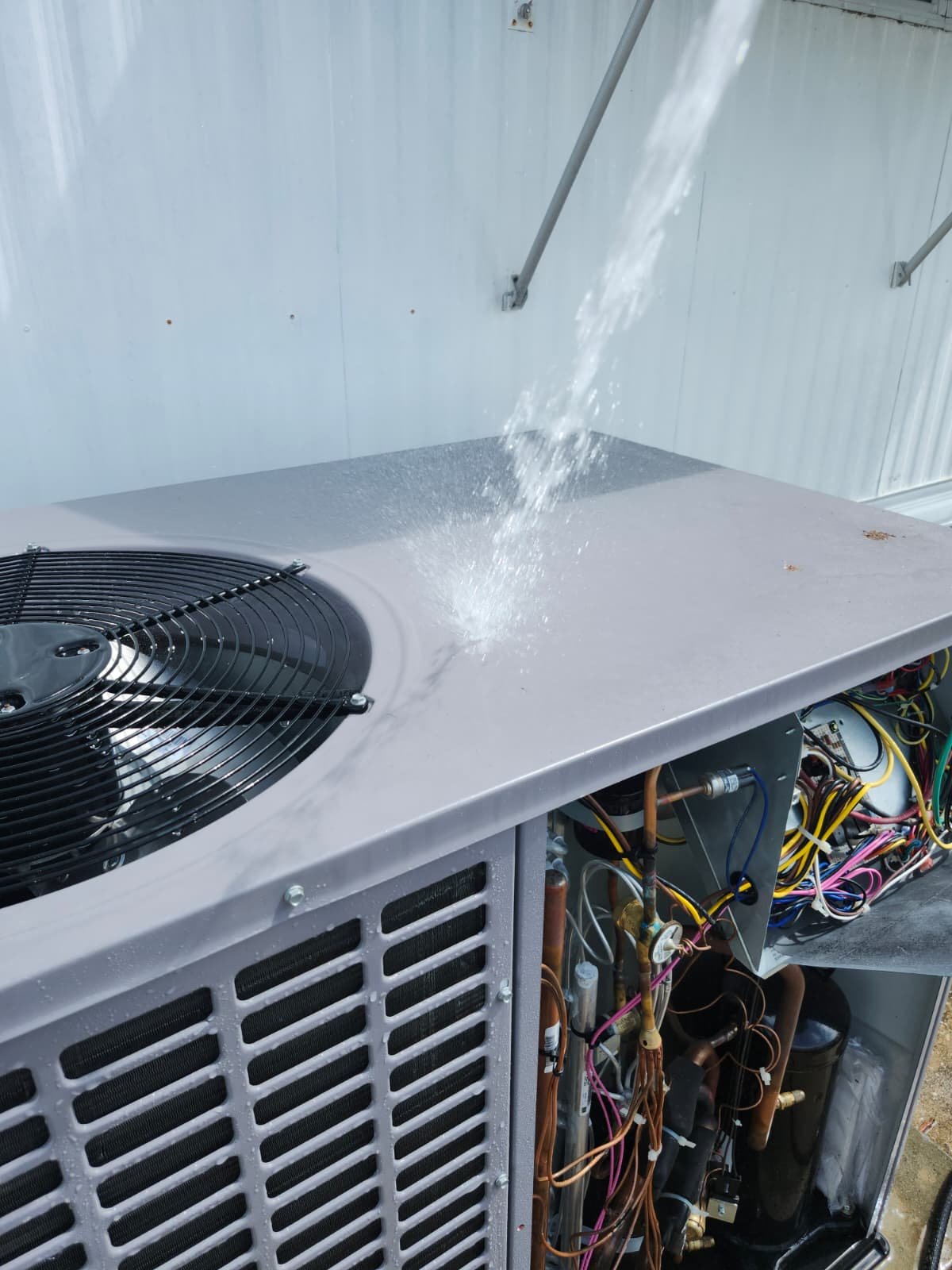 Clean filter AC maintenance in Palm Harbor, FL 34684