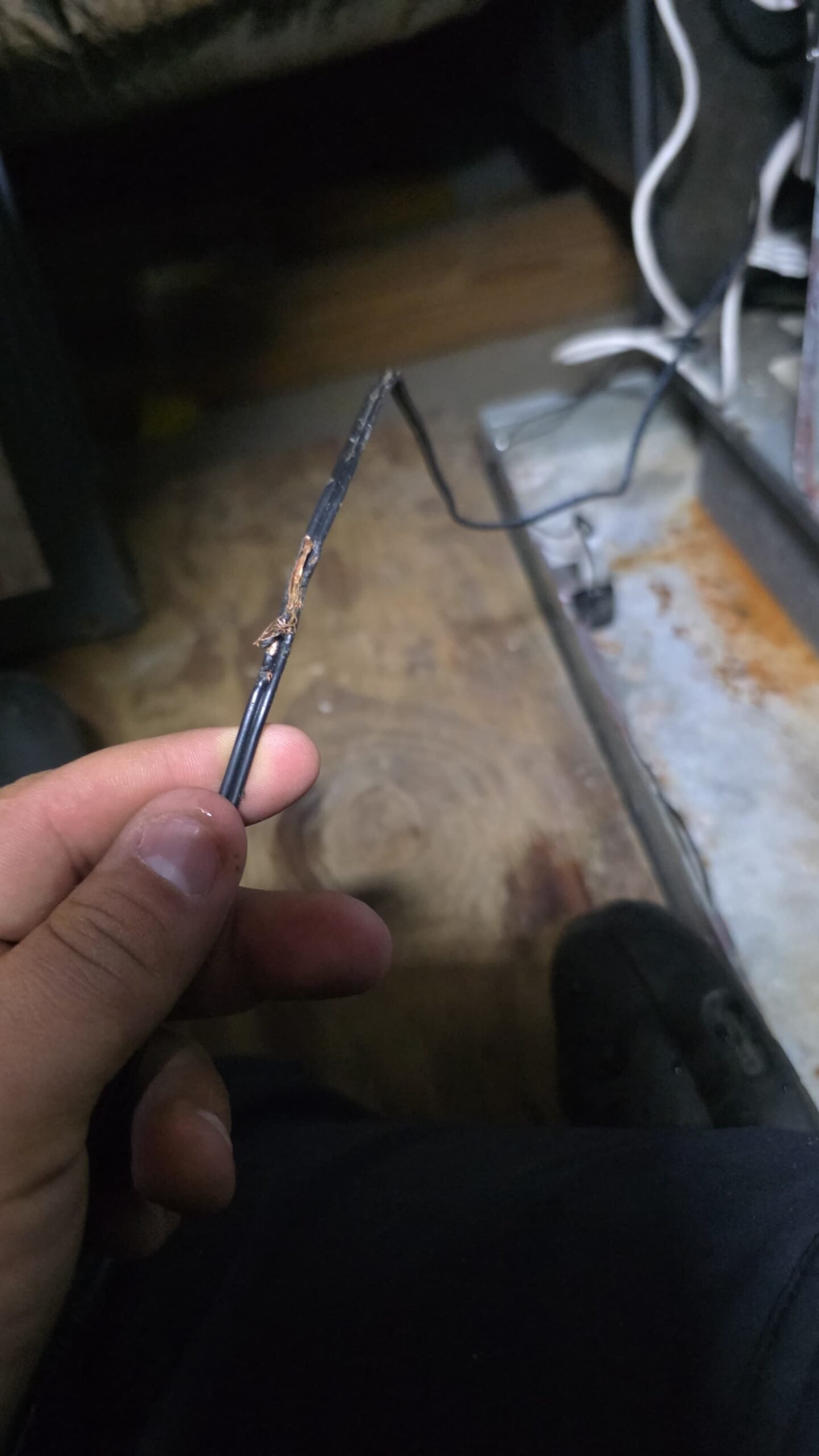 Damaged wiring near REME HALO air purifier inspected in Tampa, FL 33637 attic