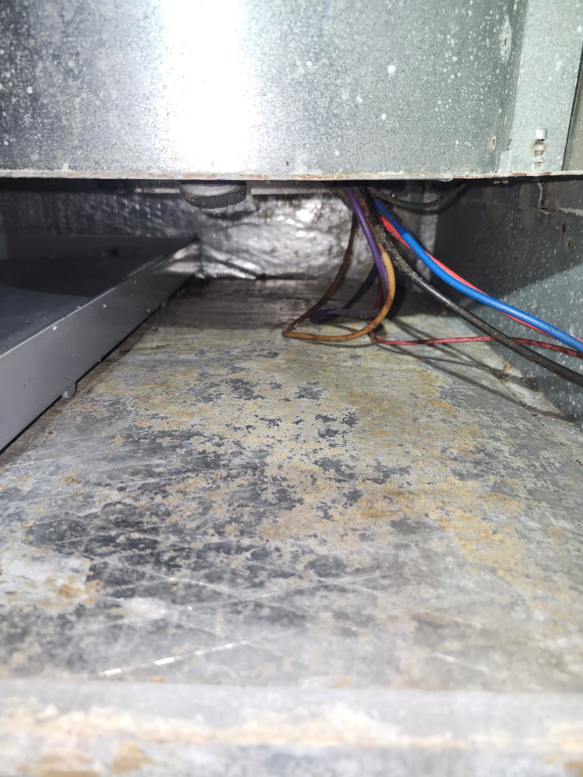 Quarterly AC maintenance on multi-unit daycare system in Hudson, FL 34669