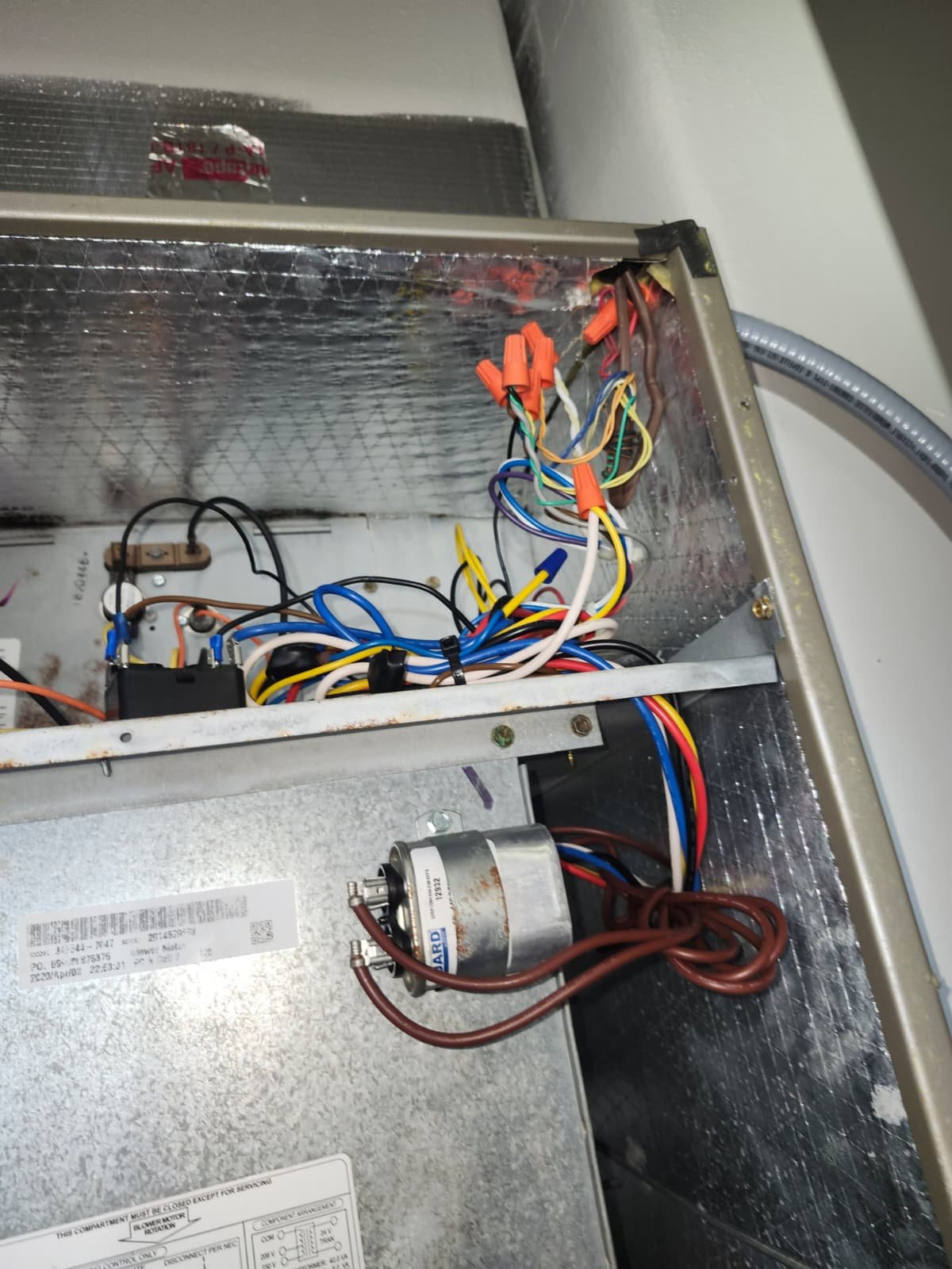 Premium therapy plan materials organized for session in Valrico, FL 33596