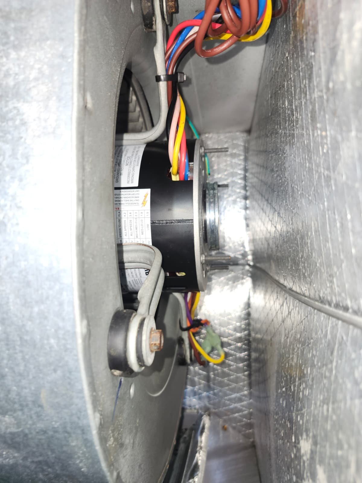 Final premium therapy plan session space ready in Valrico, FL 33596