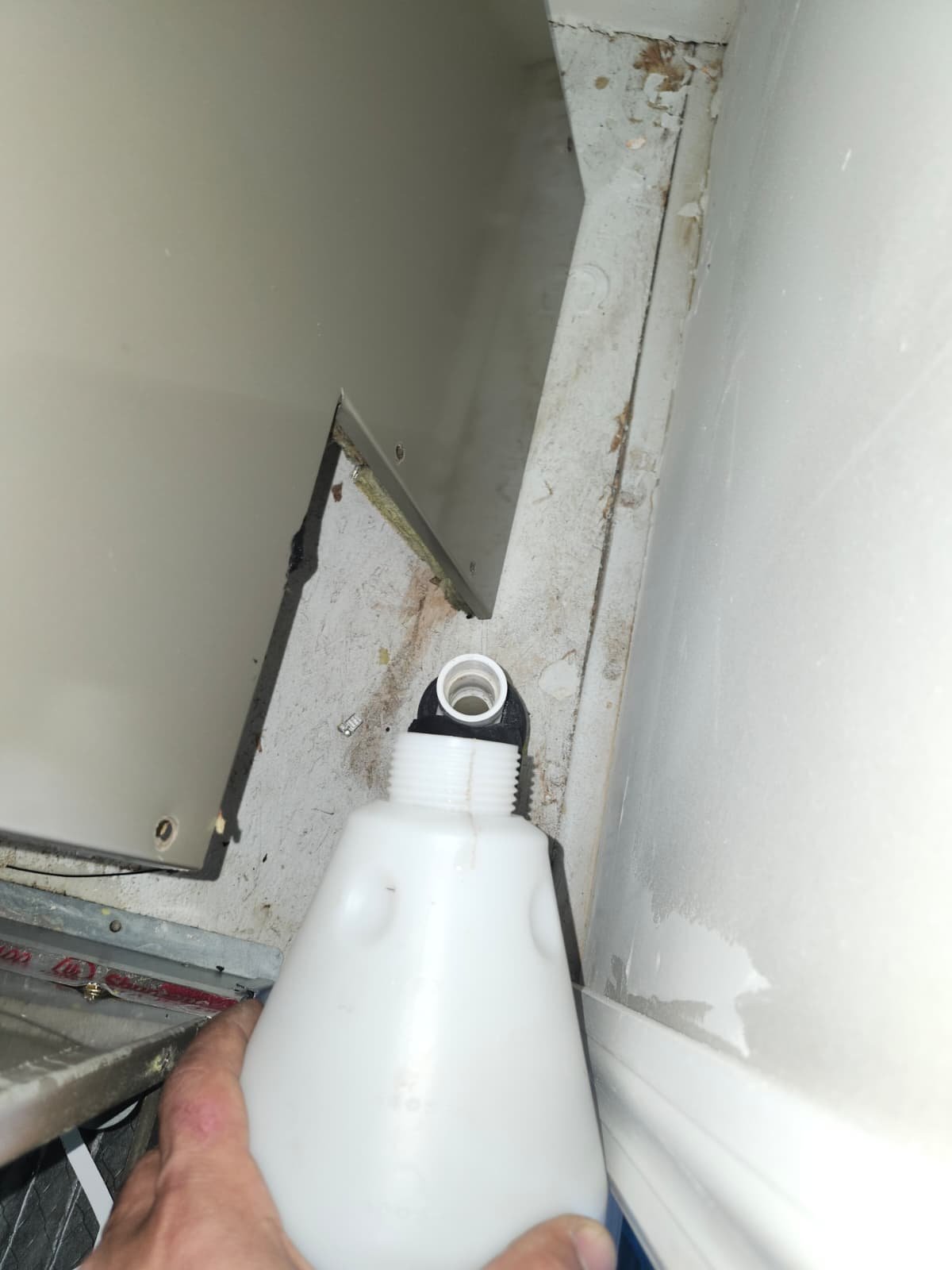 Premium therapy plan home session setup in Valrico, FL 33596