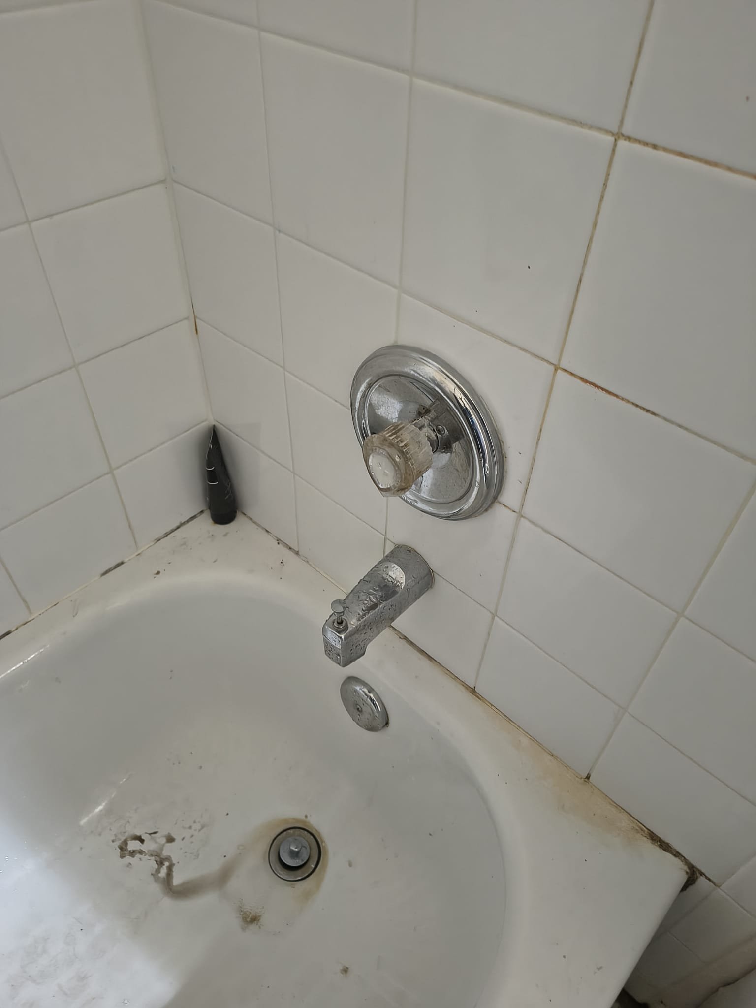 Shower leak repair after arm replacement in Brandon, FL 33510