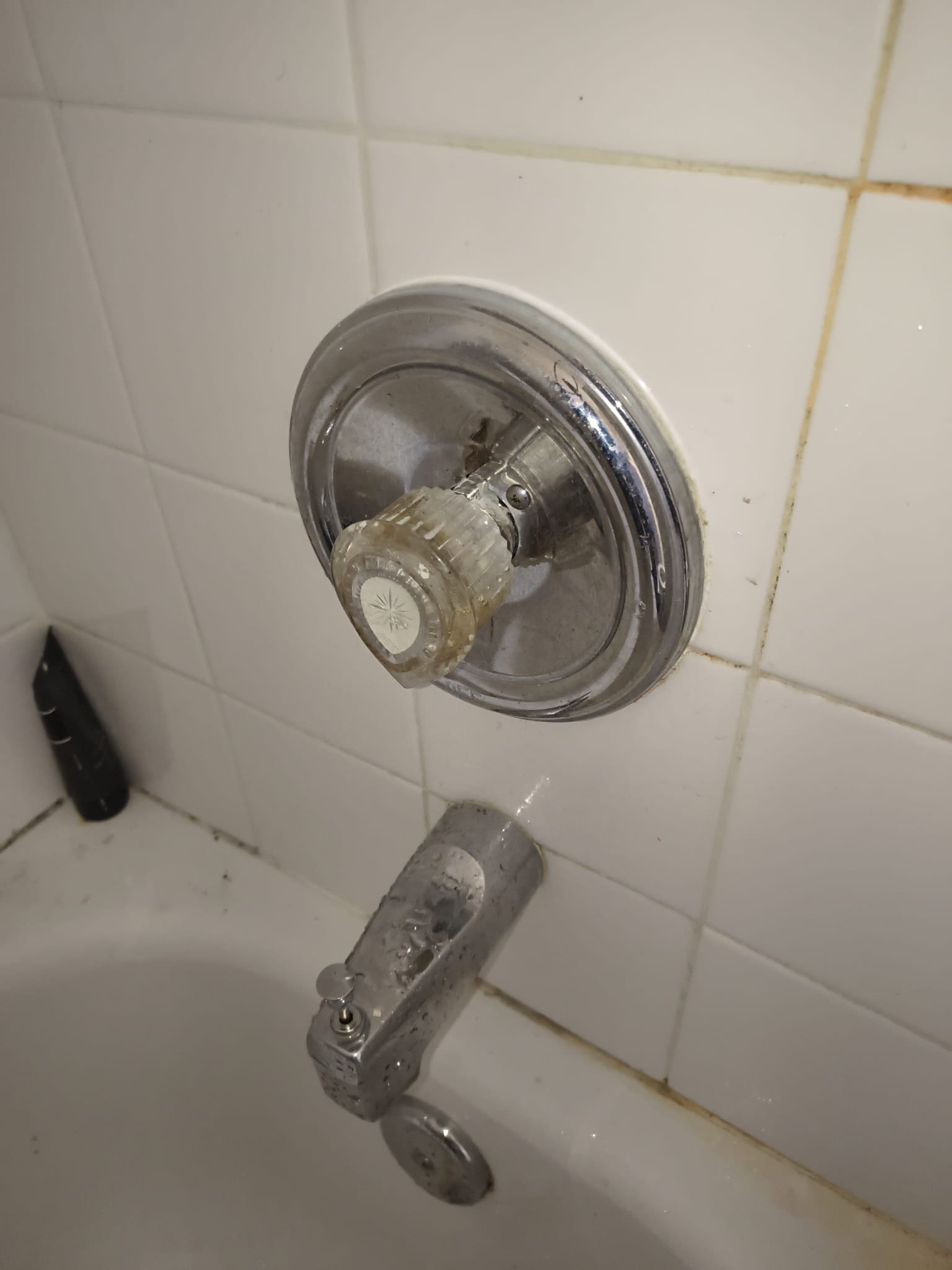 Shower arm replacement in Brandon, FL 33510